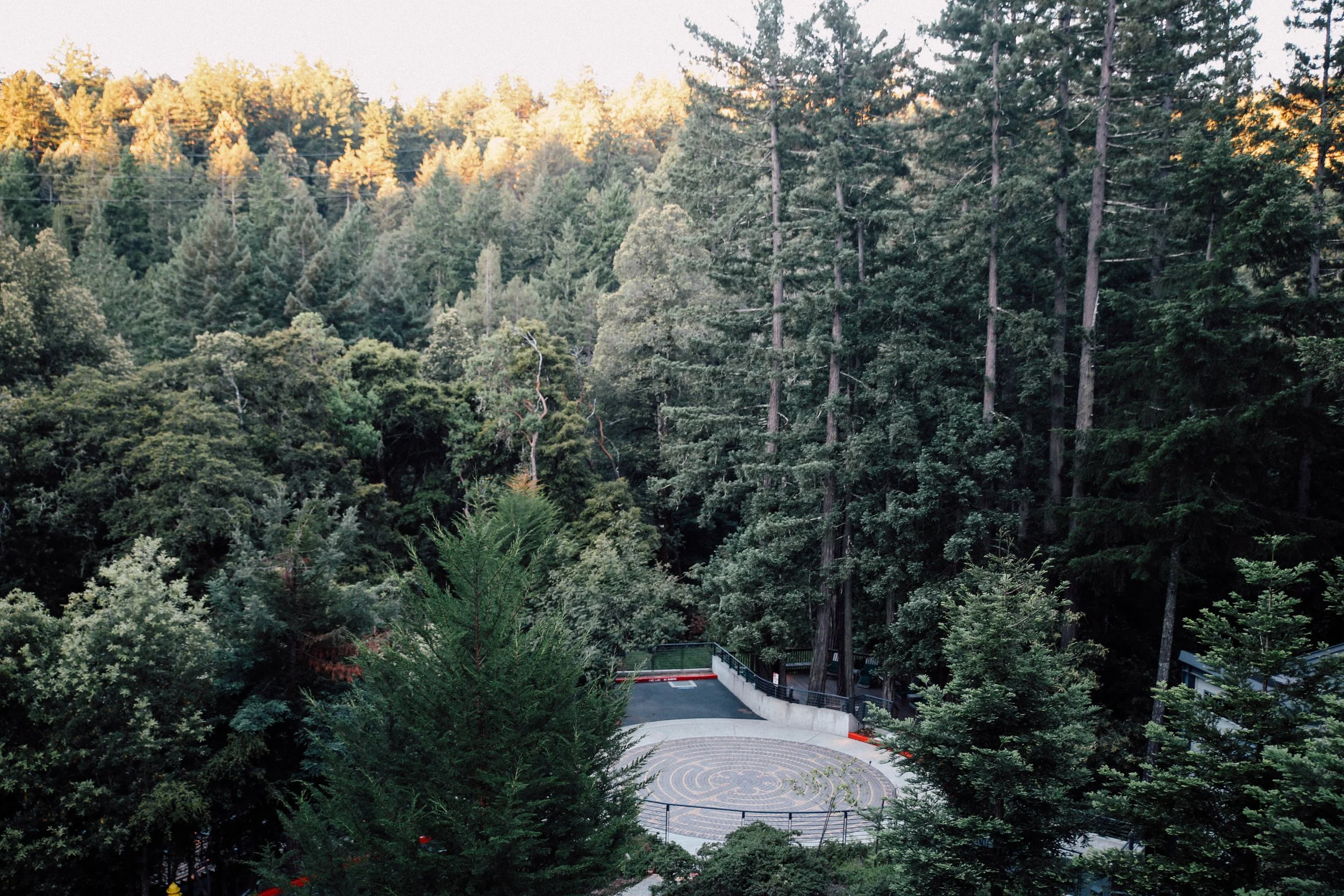 IMG_7065.jpg