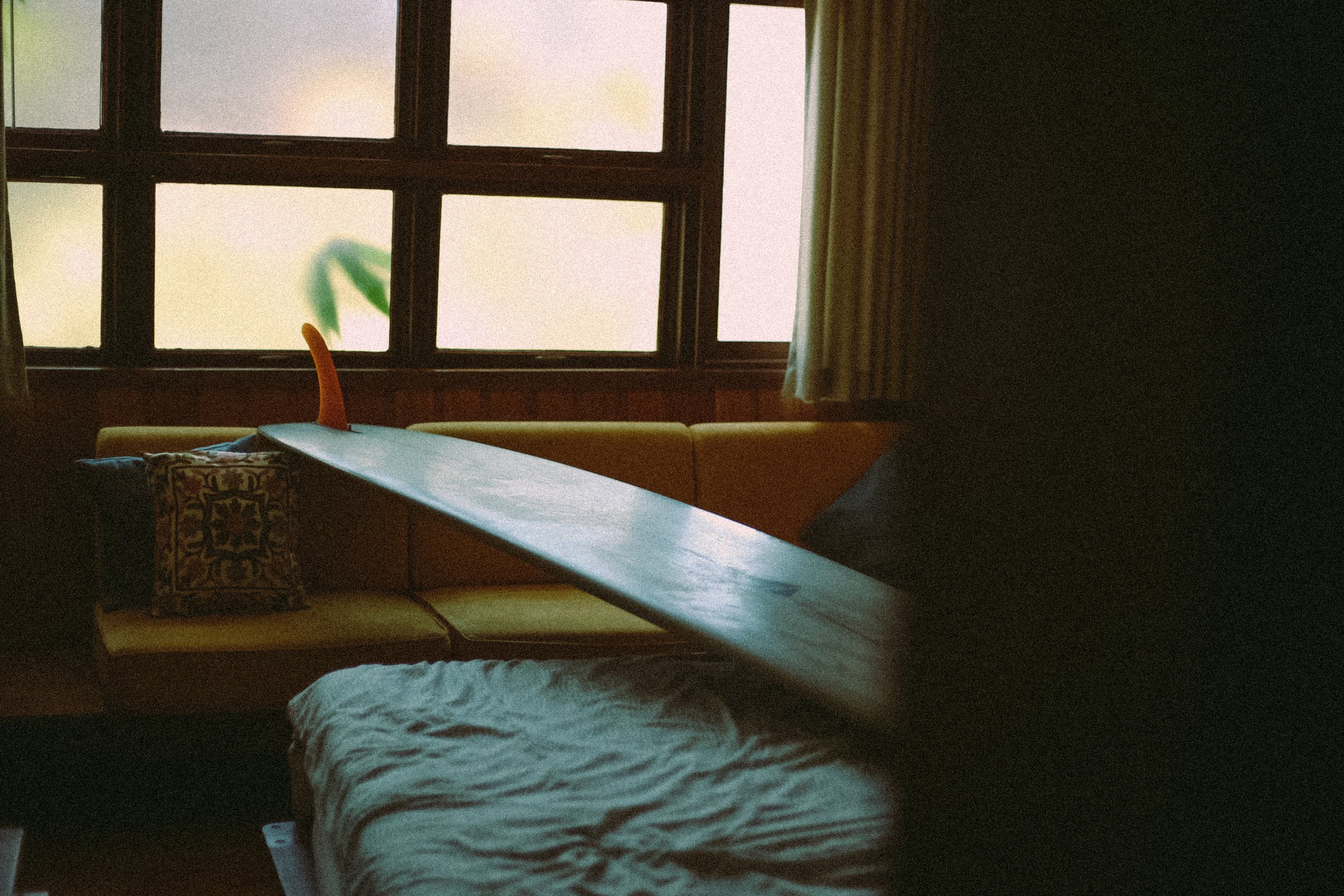 IMG_5605.jpg