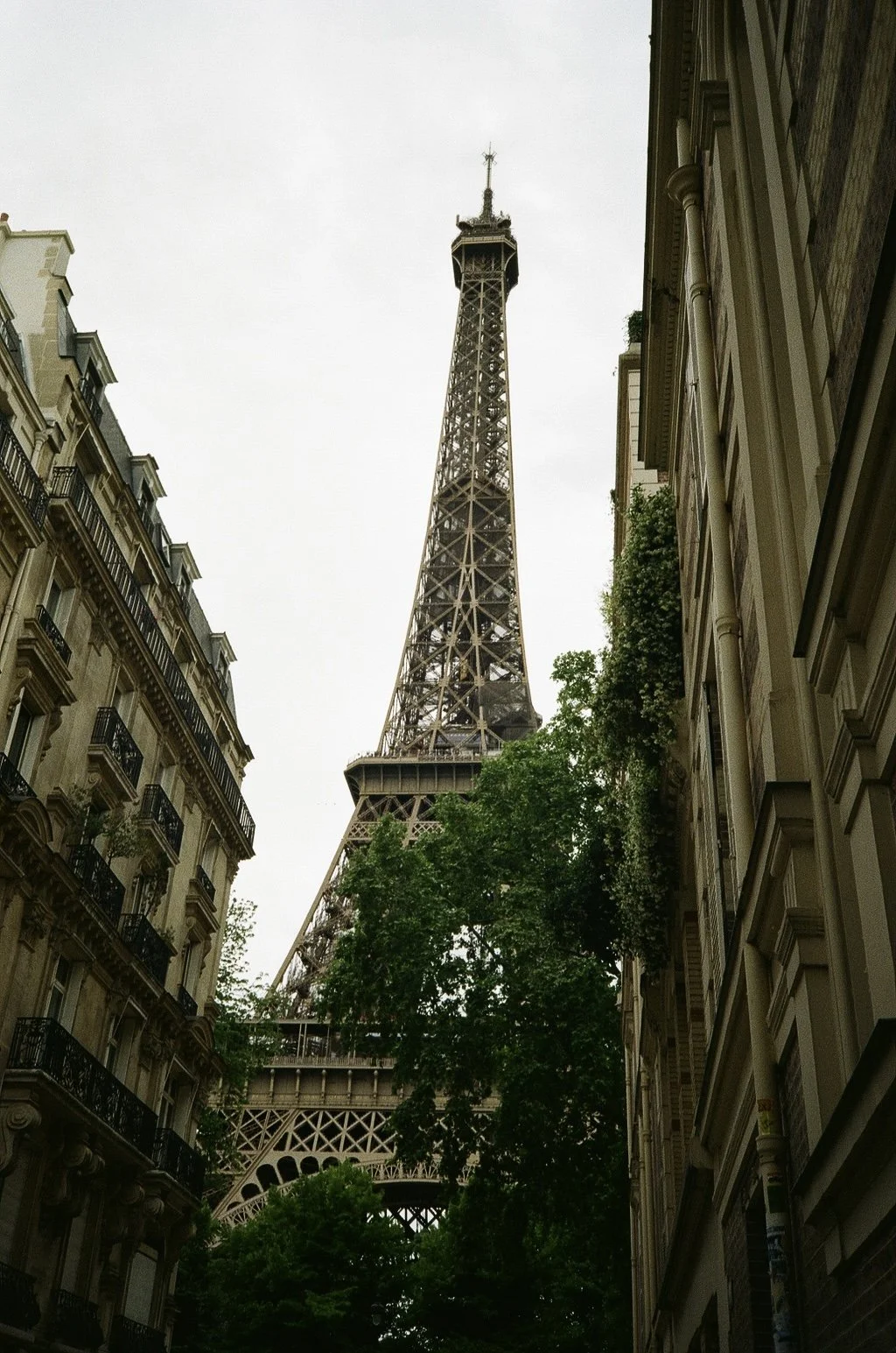 000164540018 (1).jpg