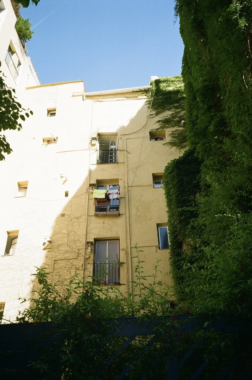 000164550006 (1).jpg