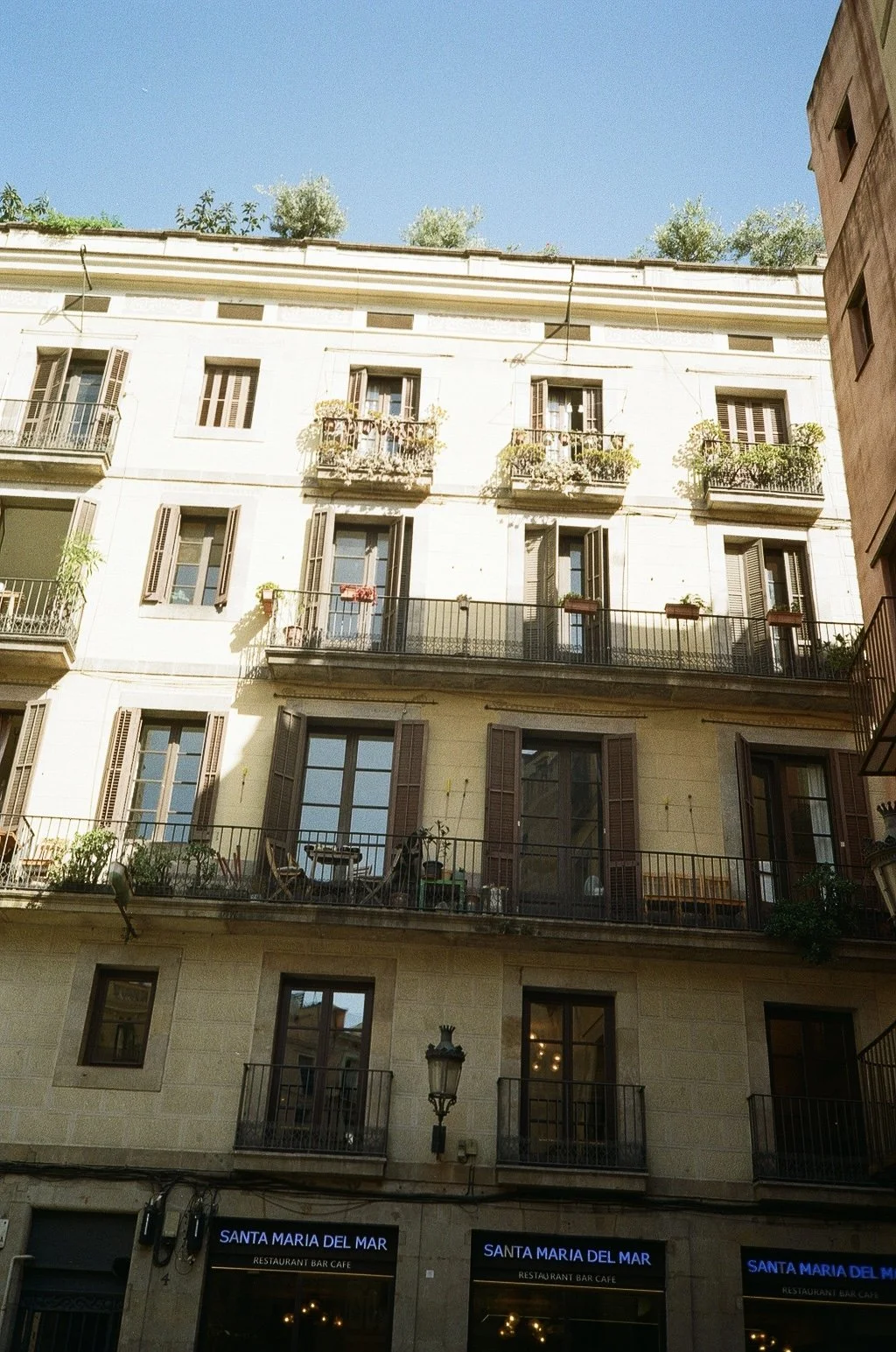 000164540034 (1).jpg