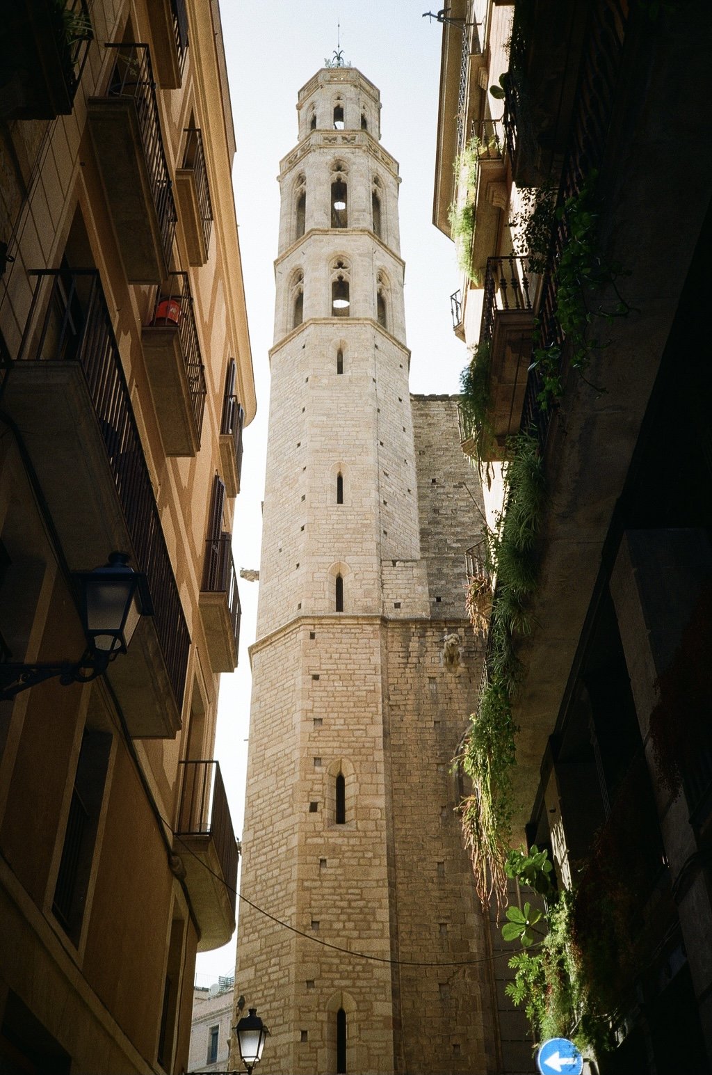 000164540033 (1).jpg