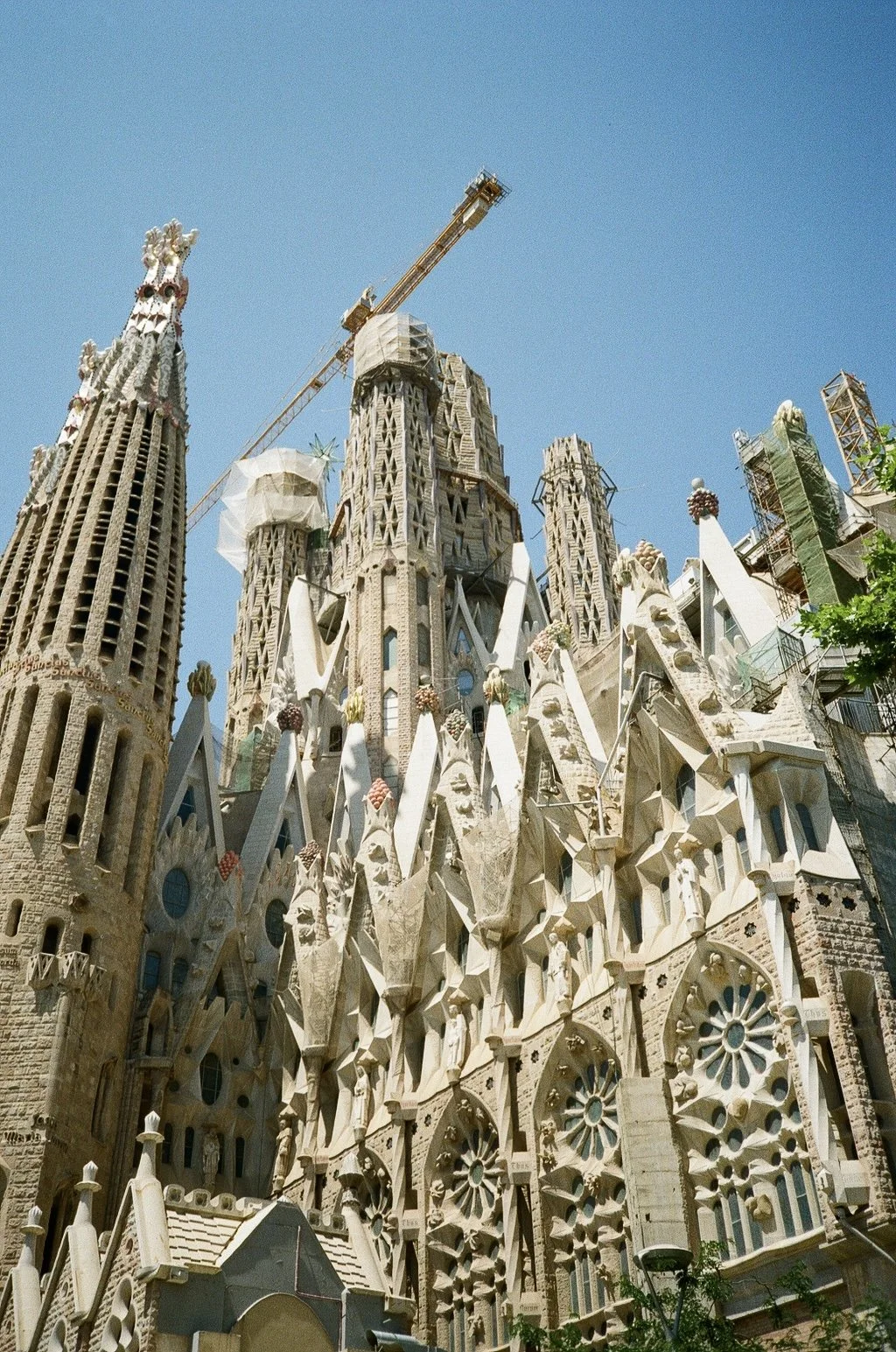 000164550017 (1).jpg