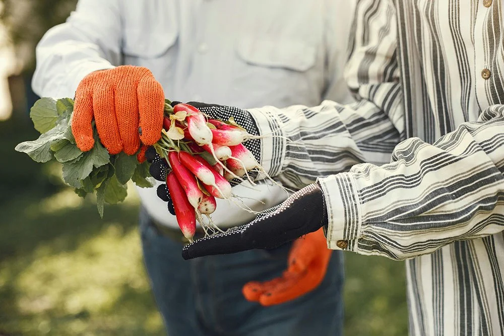 Manifesto_pexels-gustavo-fring-4894584 copia.jpg