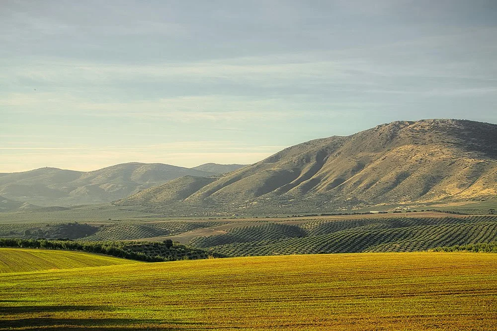Secondo seminario partecipativo- Progetto BioApp