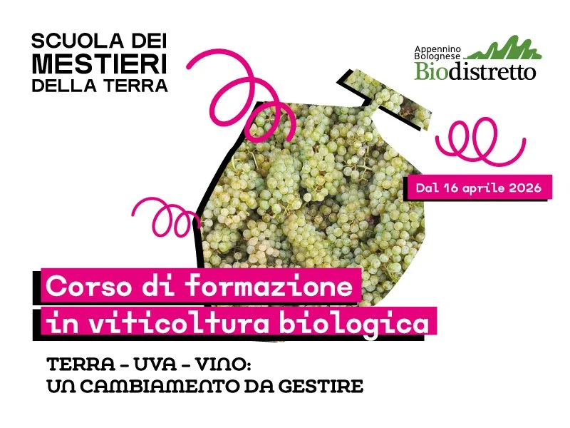 Corso di formazione in viticoltura bio