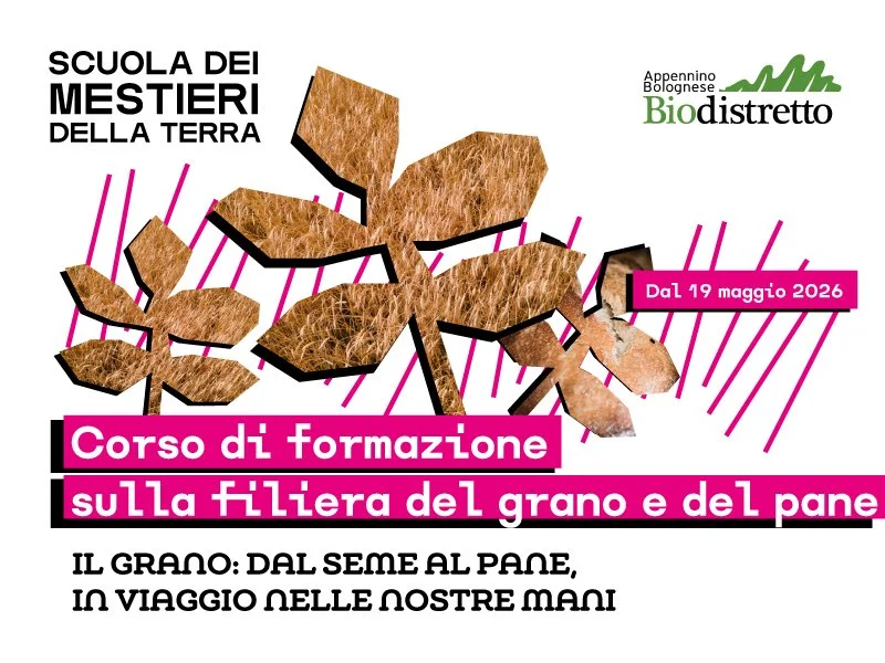 Corso di formazione sulla filiera del grano e del pane