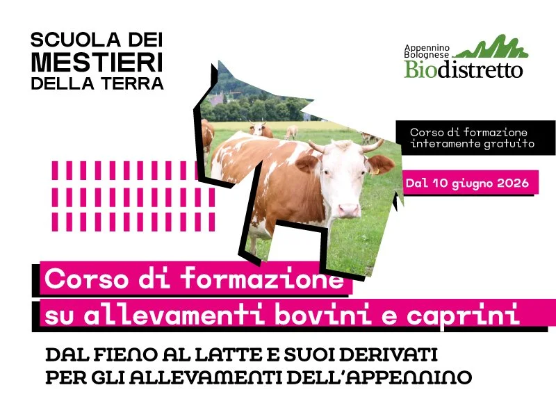 Corso di formazione sulla filiera dei latticini