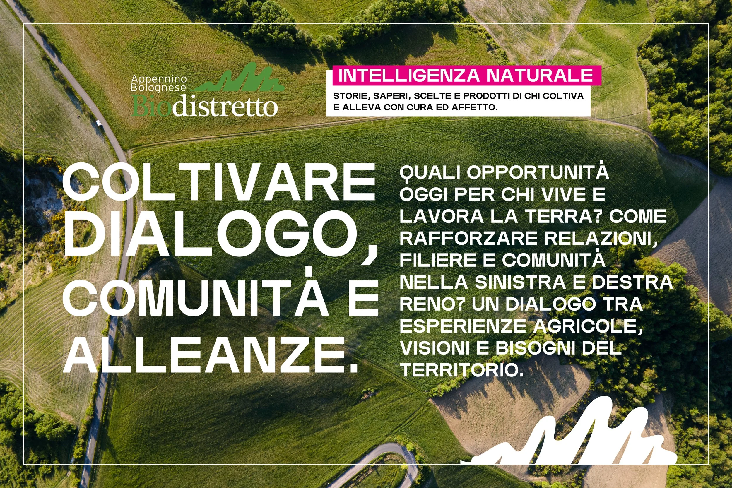 Coltivare dialogo, comunità e alleanze