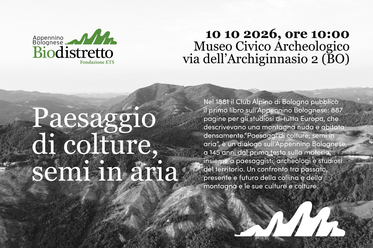 Paesaggio di colture, semi in aria