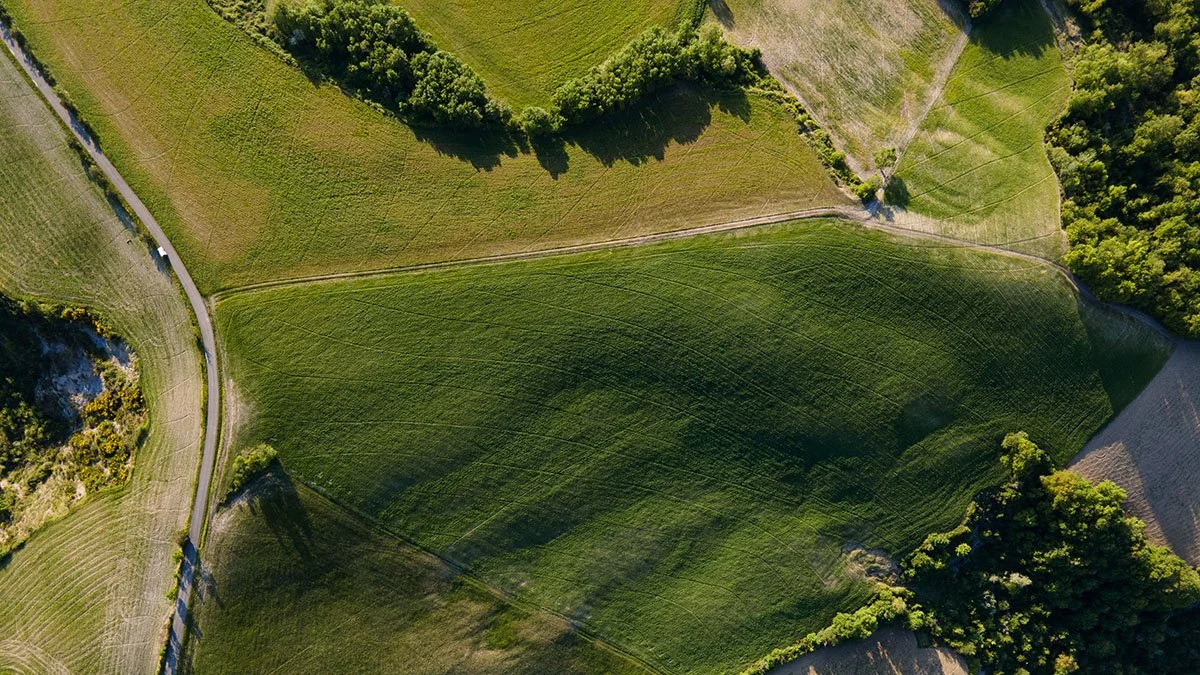 004__DJI_0240 copia.jpg