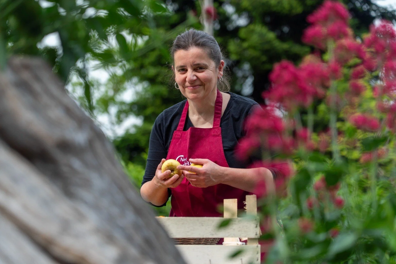 Trattoria nel Castegneto