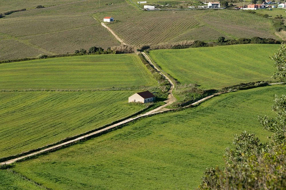 Manifesto_antonio-vivace-fiMdM9Rp904-unsplash copia.jpg