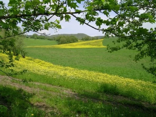 Appennino-Prunarolo.jpg