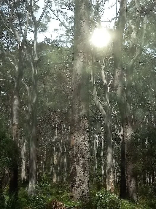 C pens- text to speech