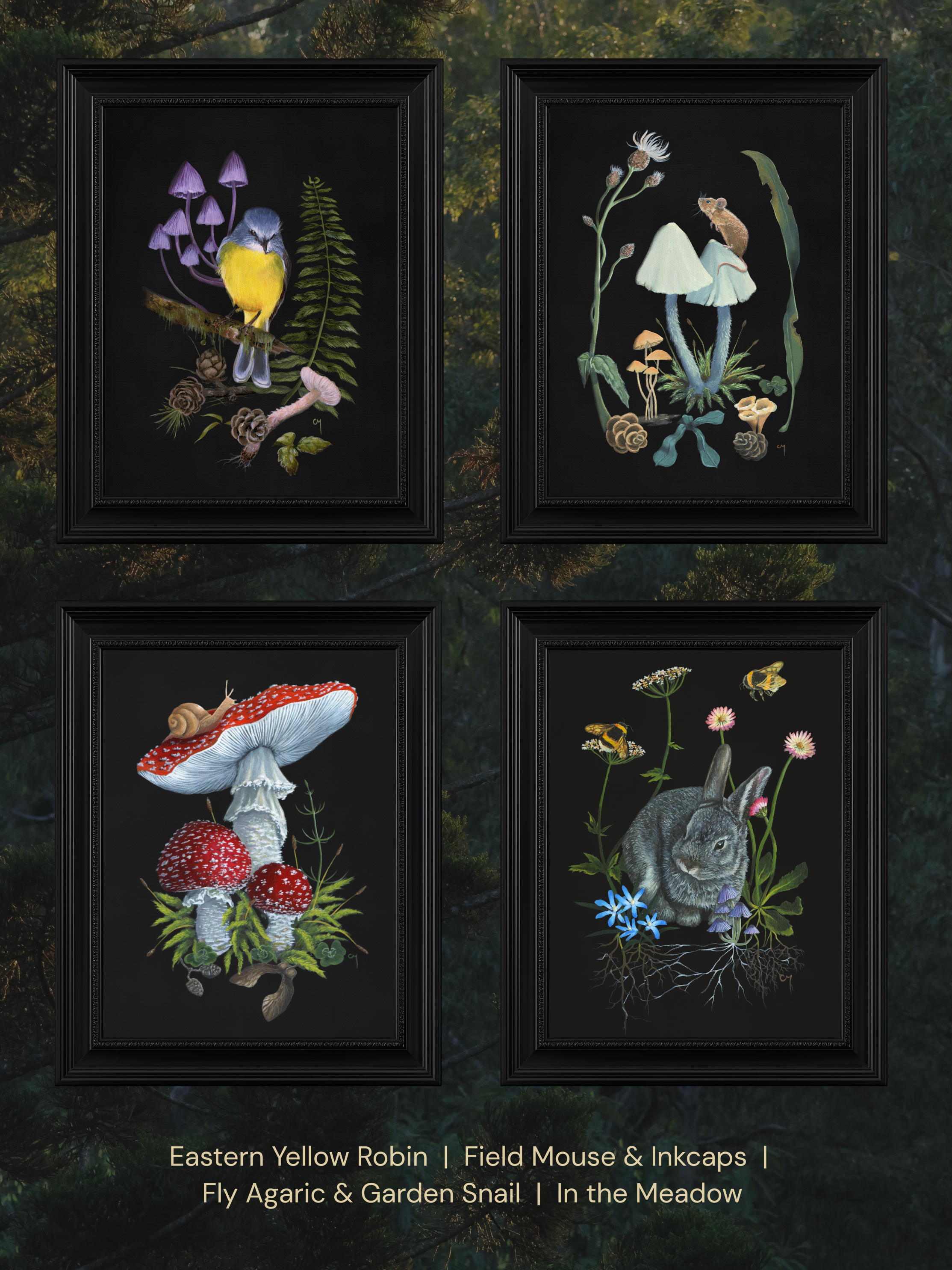 Choice of wildlife prints - 4 framed pieces, page 3