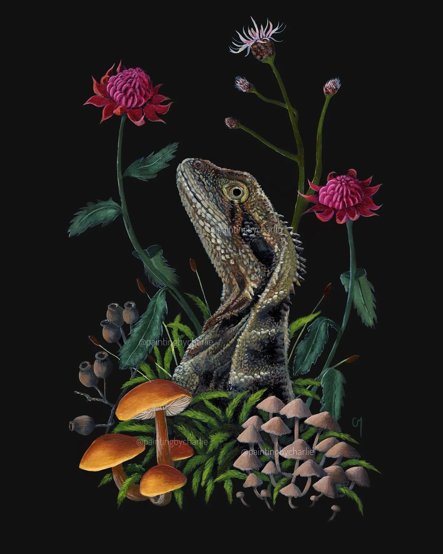 &ldquo;Water Dragon &amp; Waratahs&rdquo; 

An Australian Eastern Water Dragon (Intellagama lesueurii) and native Waratah flowers (Telopea speciosissima), amongst mushrooms and other natural Australian treasures. 

Fine art prints (A5, A4, A3) availa