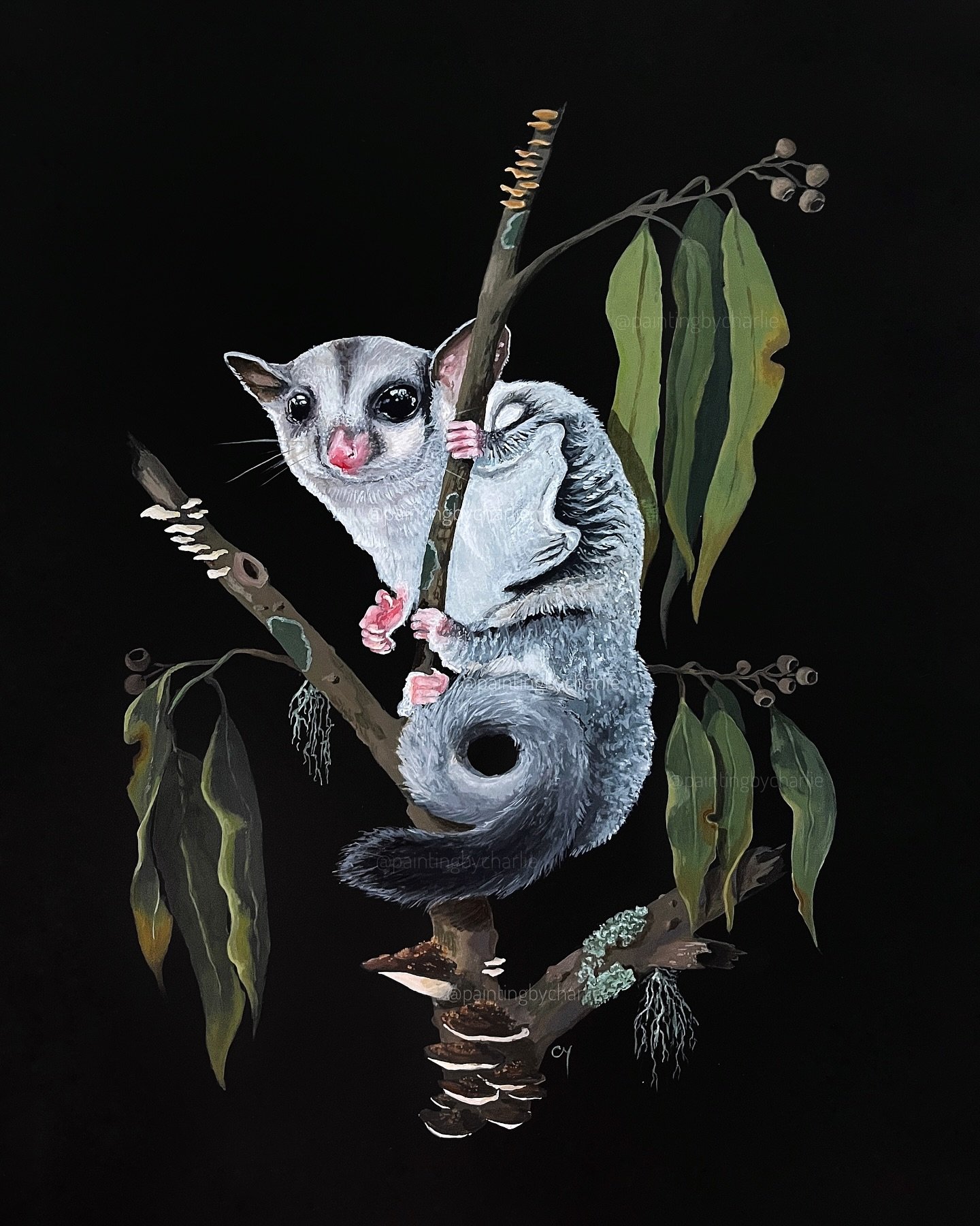 &ldquo;The Sugar Glider&rdquo; 

This little one is currently on show at @aspiregallery for the final day of the Roam exhibition, along with a few other of my Australian bush themed pieces 🌱 

Available for purchase 
Acrylic on paper
297x210mm [370x