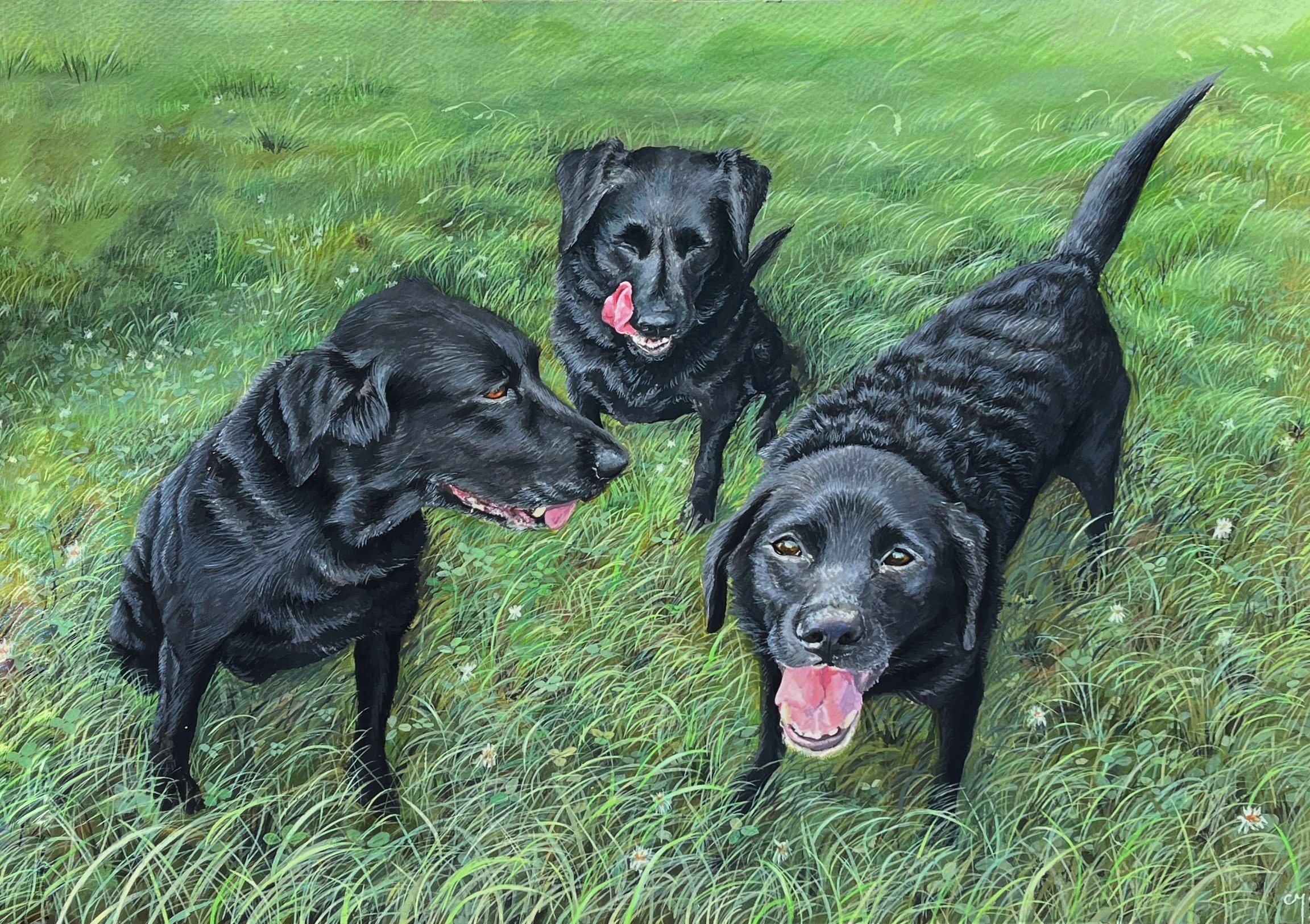 Three Labs - The Finished Piece
