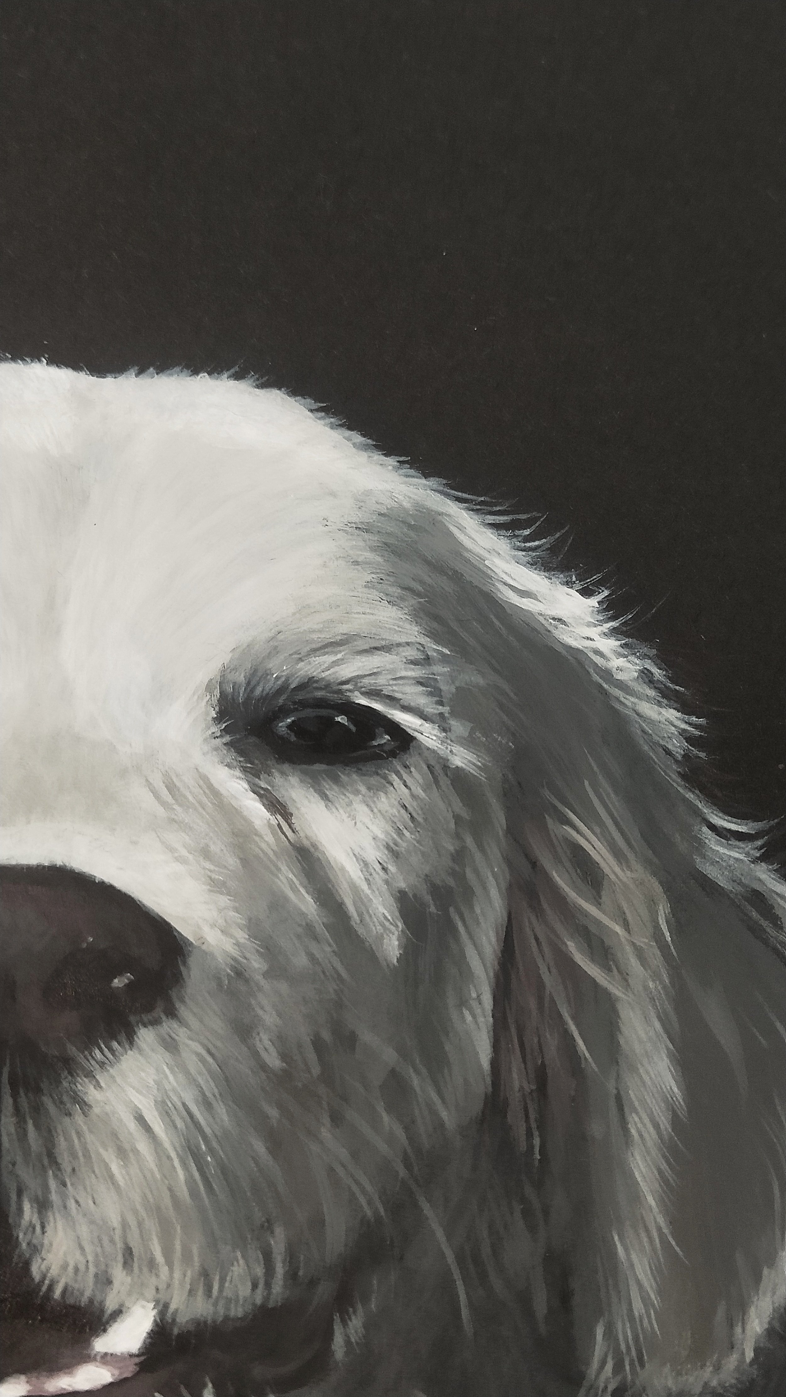 Close up