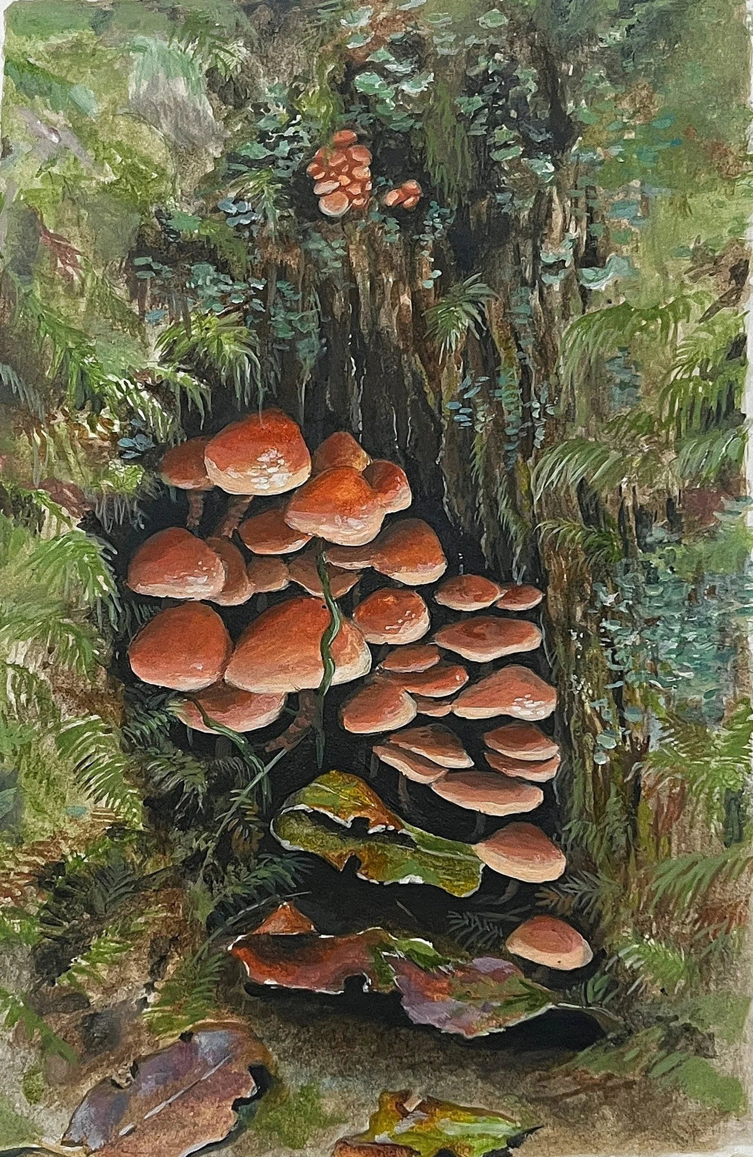 A cluster of huddled mushrooms in Glencoe, Scottish Highlands