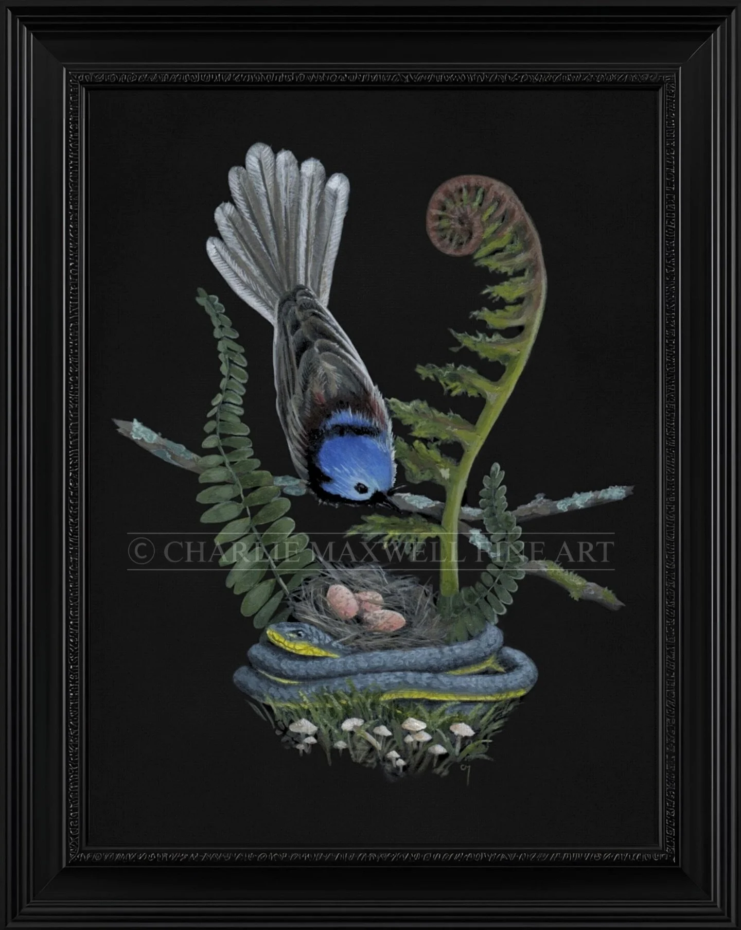 Whoever said art isn&rsquo;t political is ✨mistaken✨ 

This might look like just a painting of a variegated fairywren &amp; a tree snake, but it&rsquo;s actually a commentary on [one of the many] current political &amp; quality-of-life situations fac