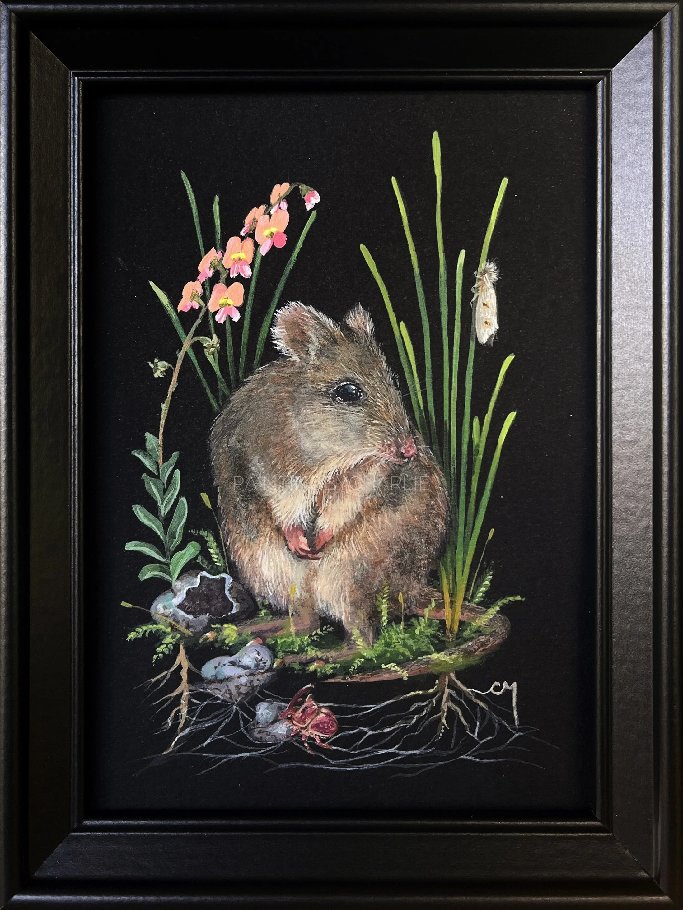 For Endangered Species Day, I thought it fitting to share my second piece of the Unseen series, currently being exhibited at @theempireplantsback 

Swipe to the end to see a secret sneak peek of one of the exhibition walls where my two pieces are dis
