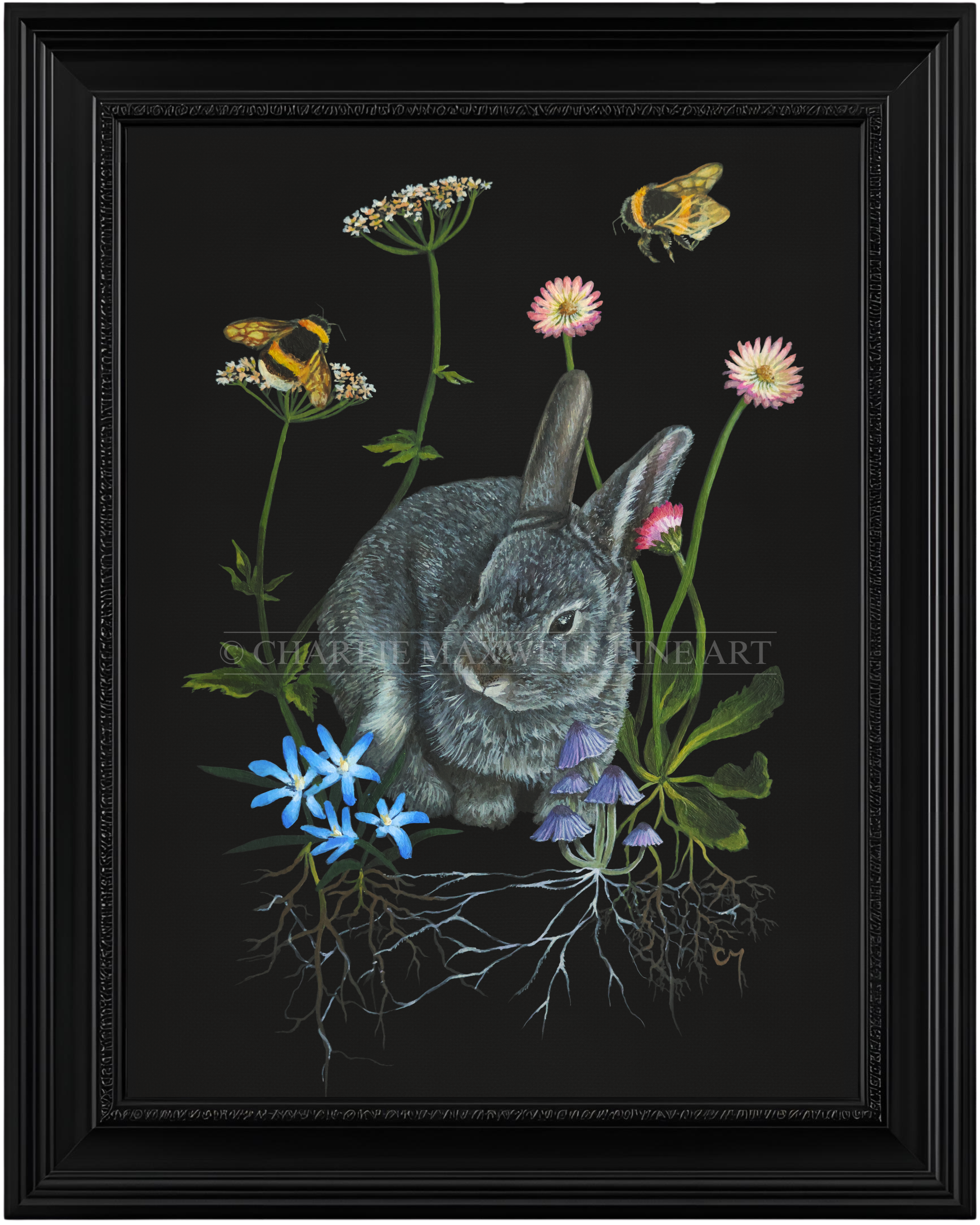 A framed wildlife art print of a European bunny, Bumblebees, English daisies, blue flowers, ground elder & purple fairy bonnet mushrooms, on black background