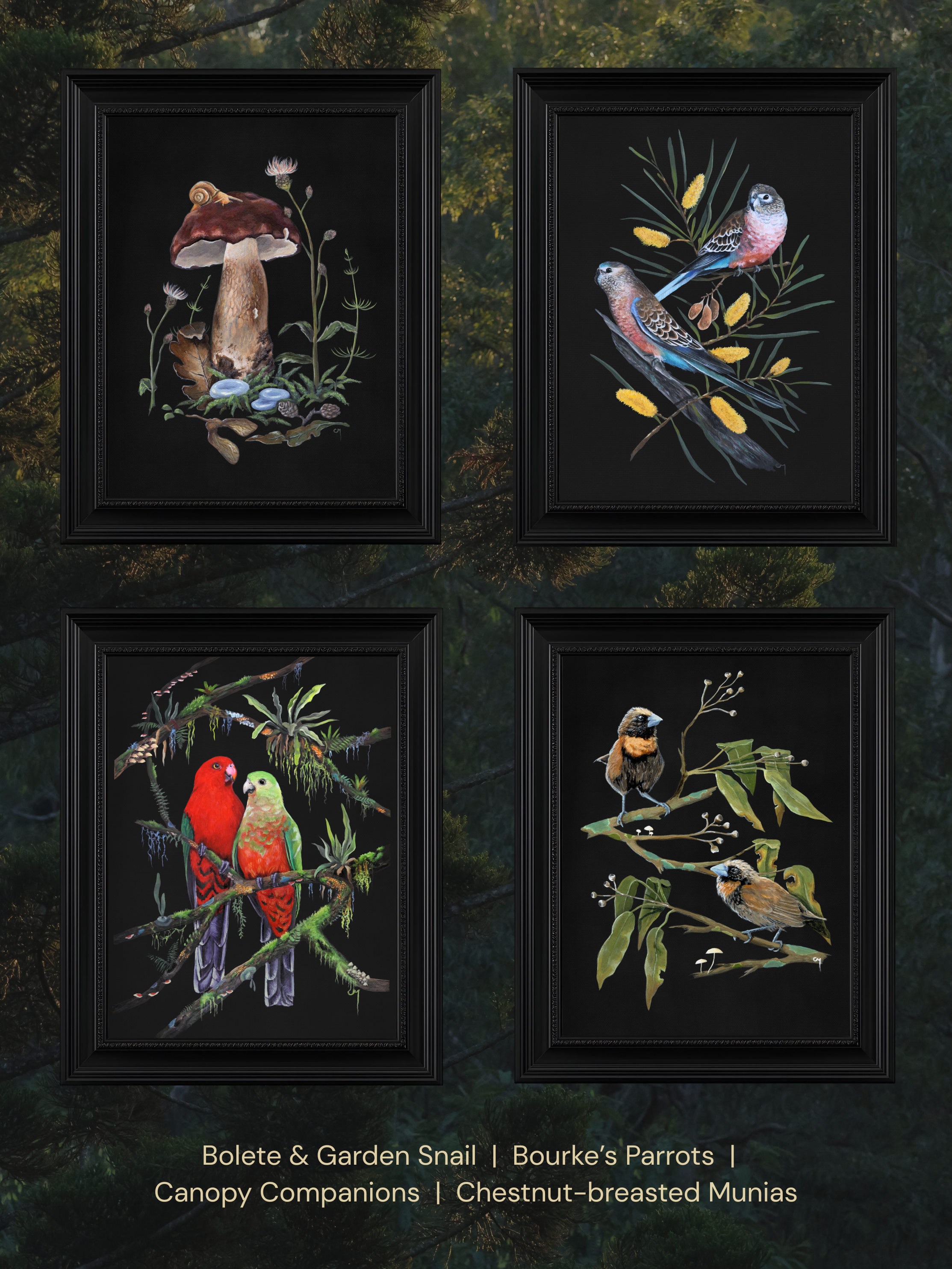 Choice of wildlife prints - 4 framed pieces, page 2