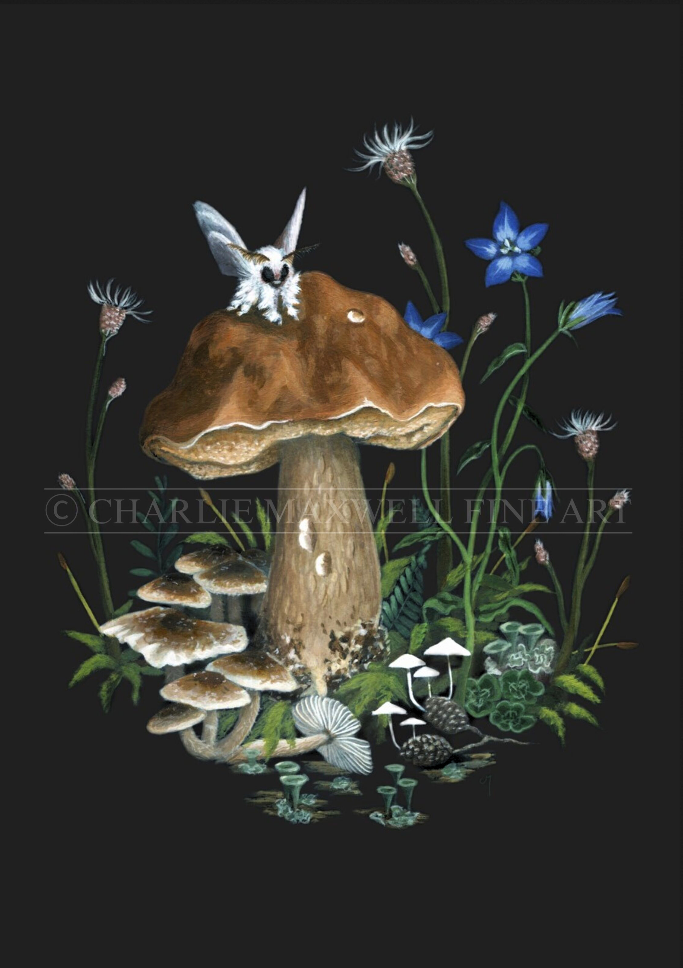 A painting of a white Poodle Moth on top of a brown Boletus mushrooms, surrounded by bluebell flowers, moss, other mushrooms and lichen, on a black background, by Charlie Maxwell (PaintingbyCharlie).