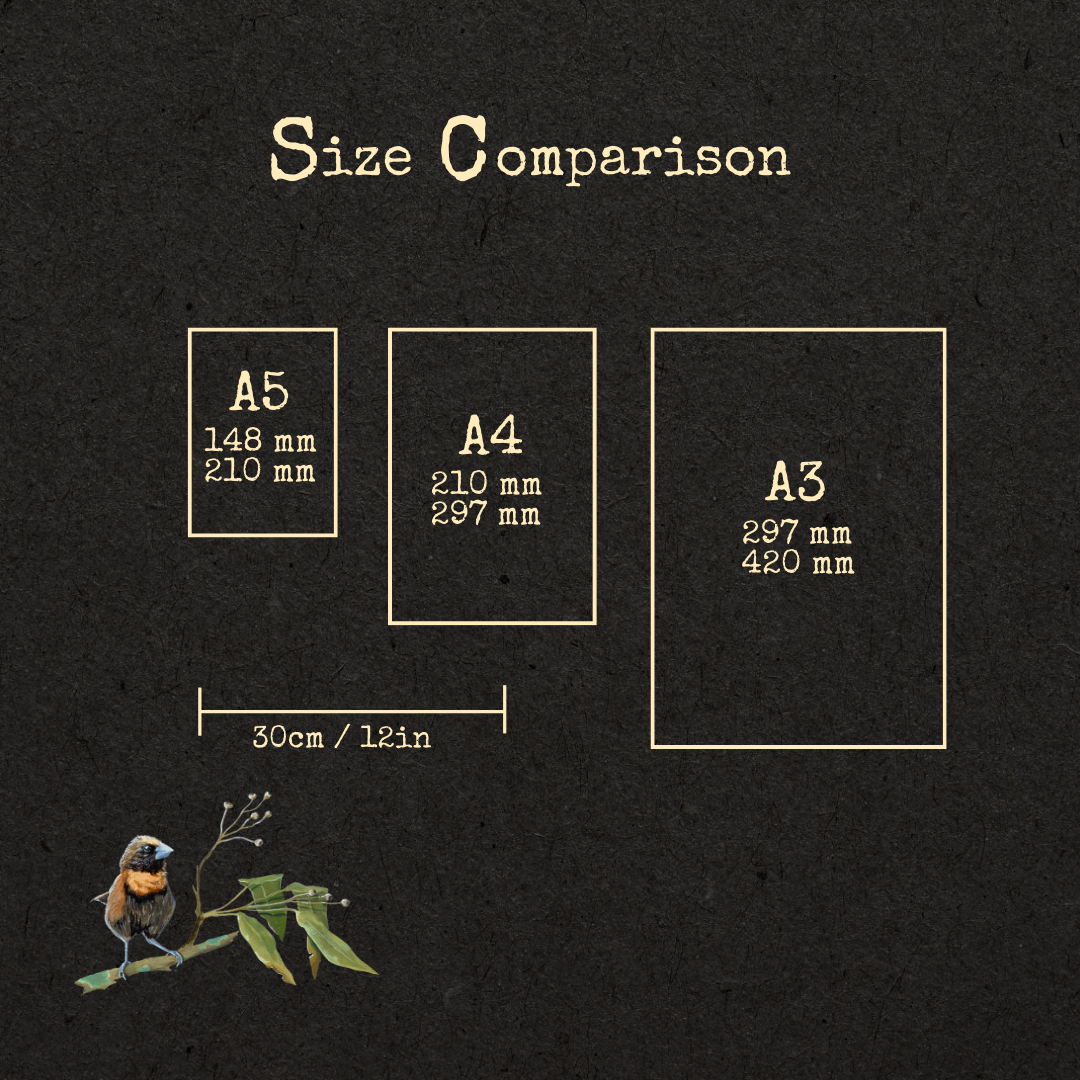 Fine art print size comparison chart A5, A4, A3