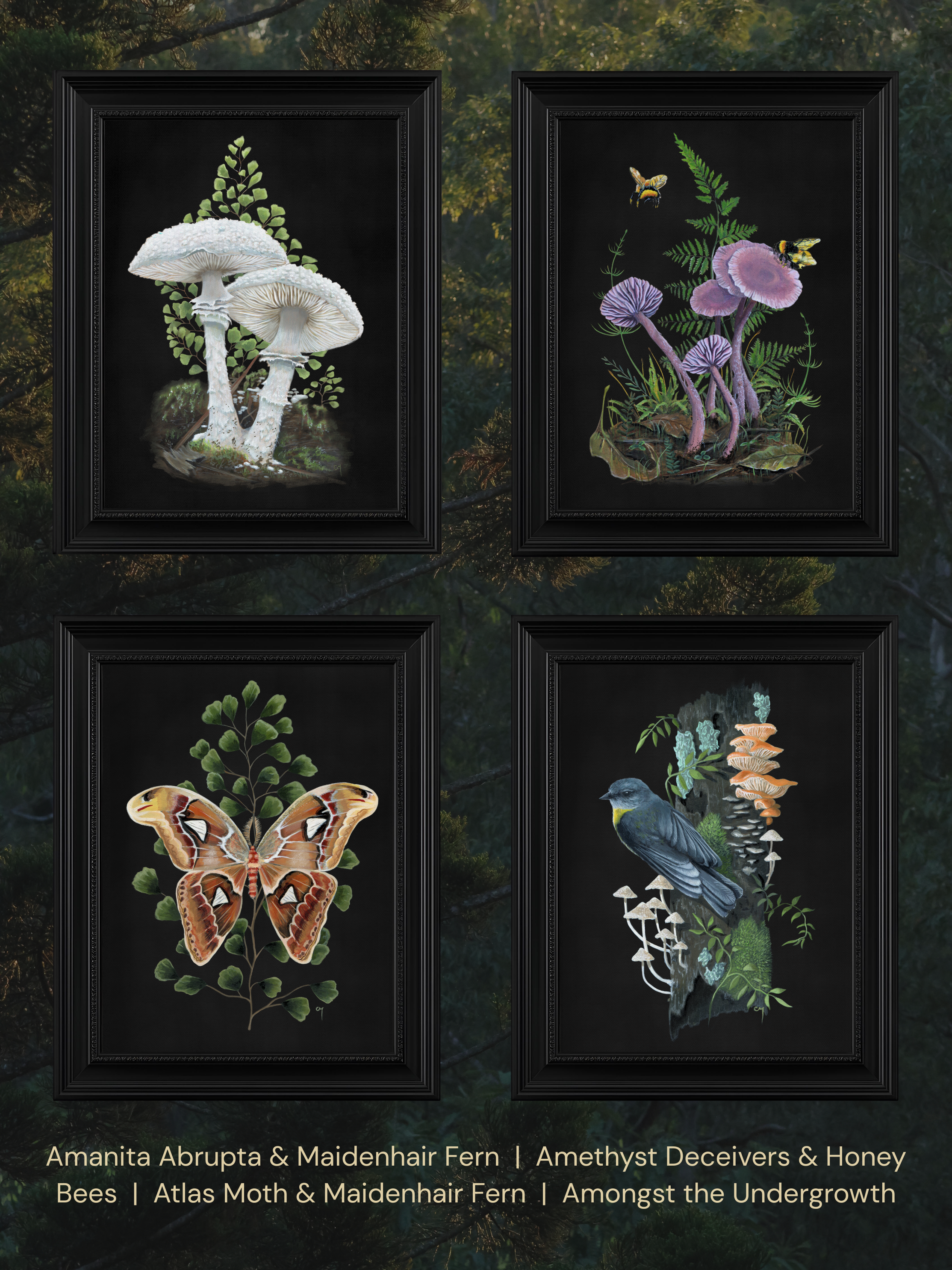 Choice of wildlife prints - 4 framed pieces, page 1