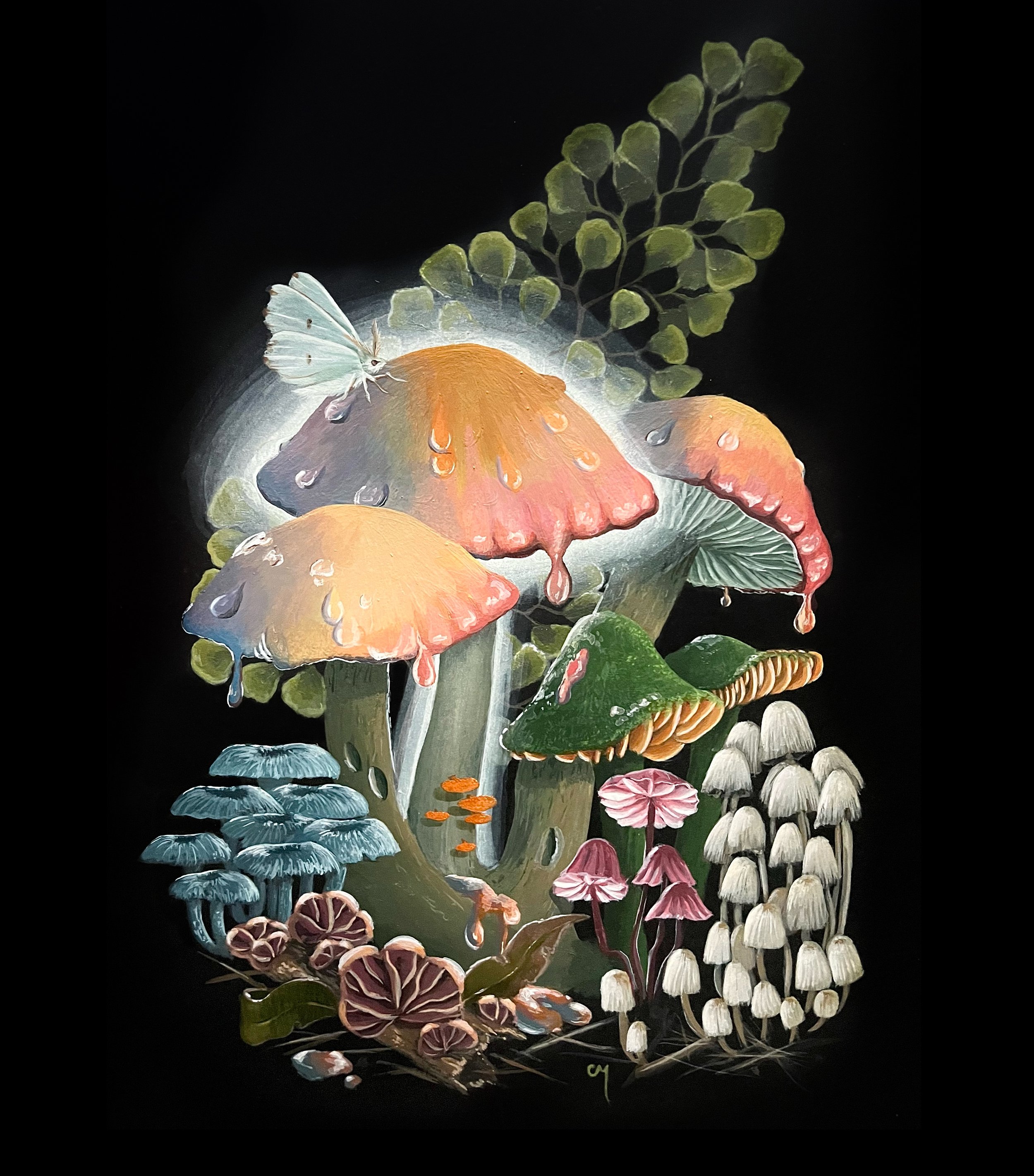 Fungi Portrait