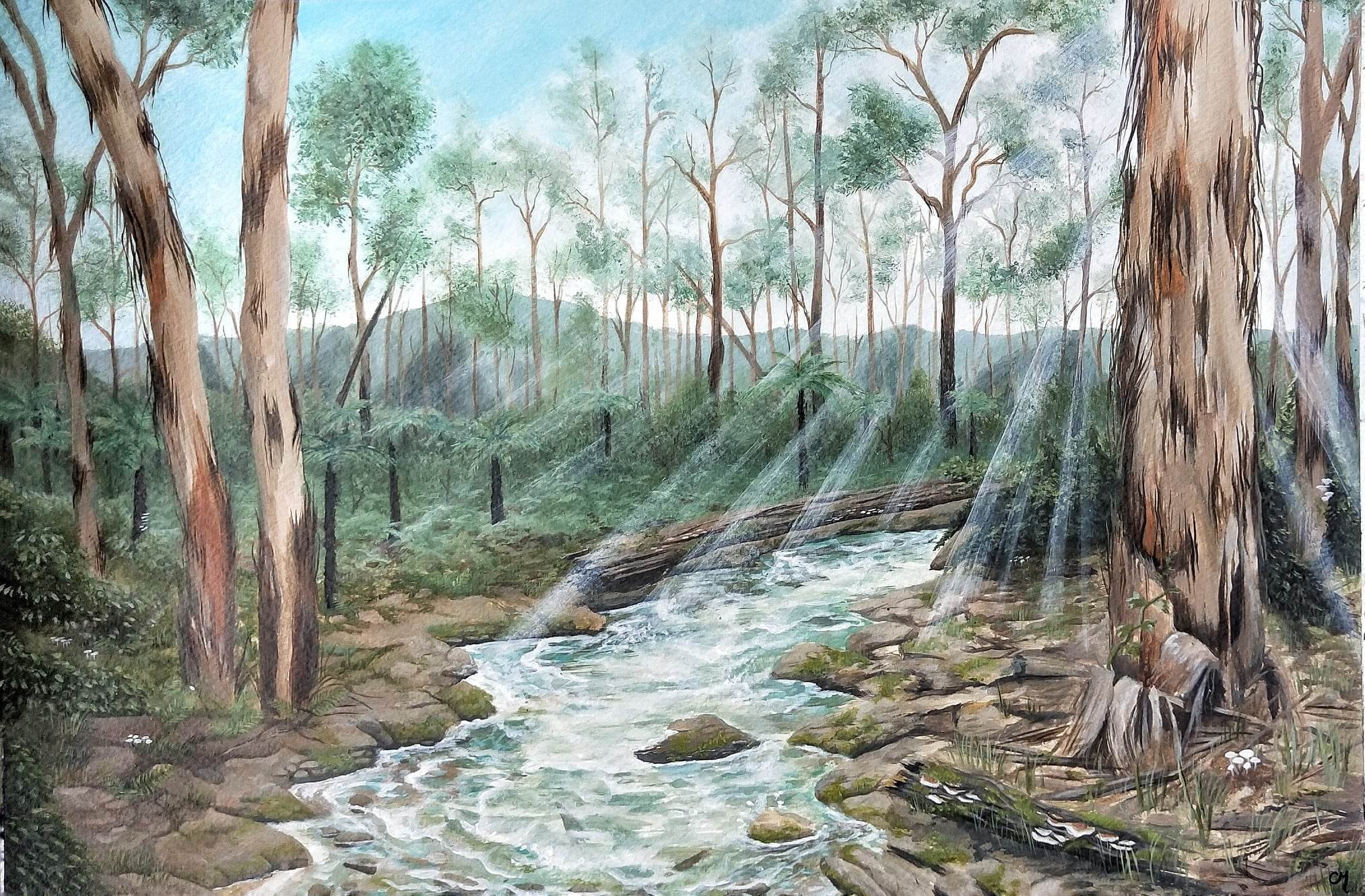 Gippsland Ancient Growth -
Capturing the regrowth and resilience of a home land in the old growth forests of Victoria, Australia, after the devastating bushfires of 2019/20.
