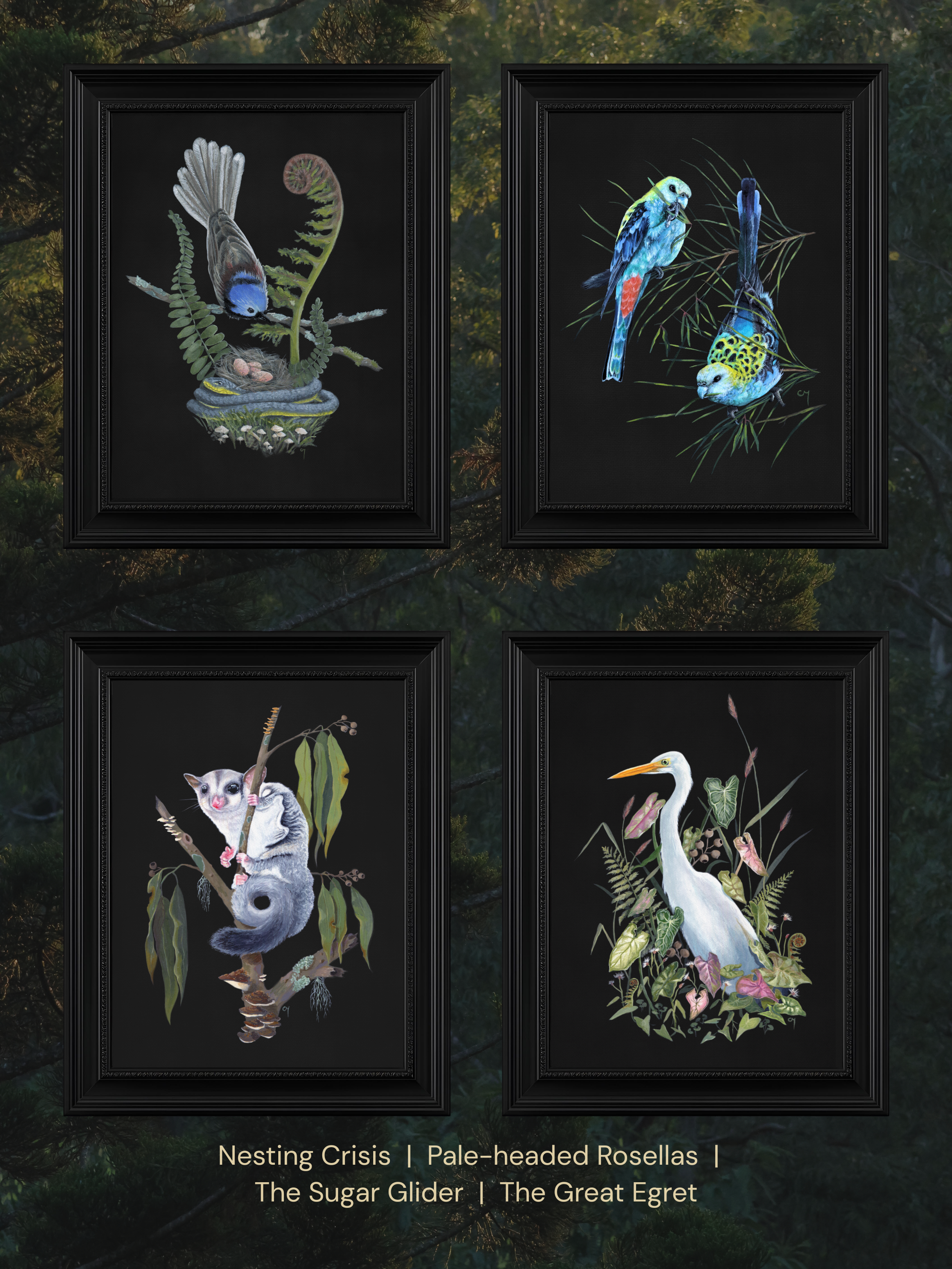 Choice of wildlife prints - 4 framed pieces, page 5