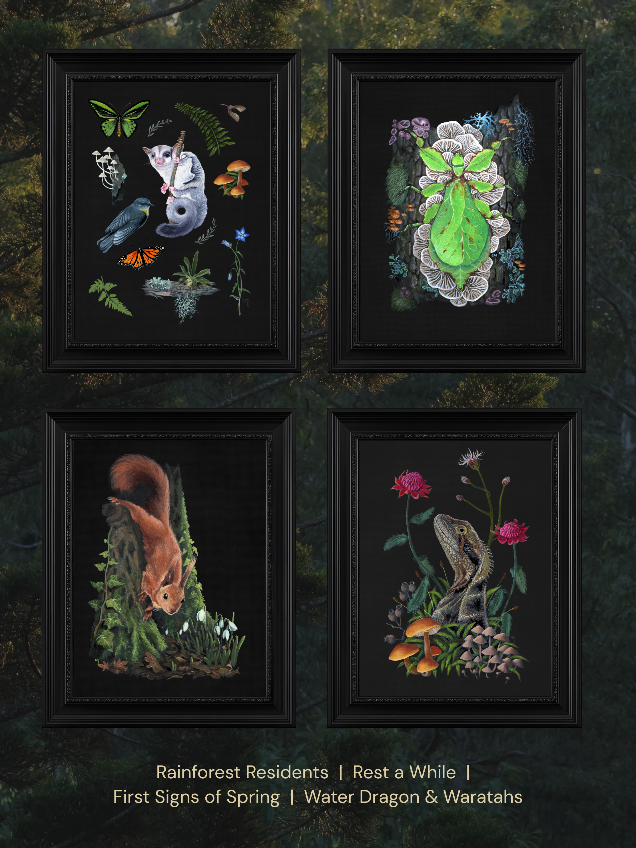 Choice of wildlife prints - 4 framed pieces, page 6