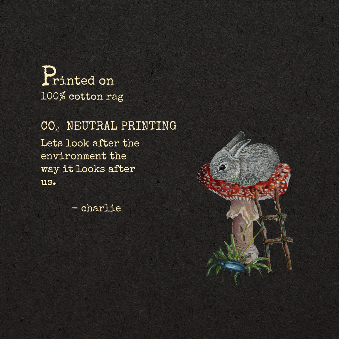 Printed on 100% cotton rag, fine art prints information & sustainability