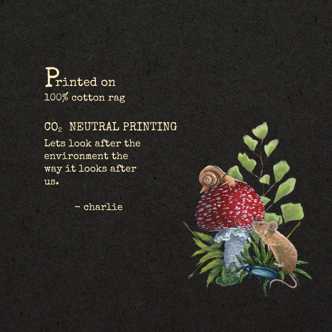 Made from 100% cotton rag, fine art print sustainability.