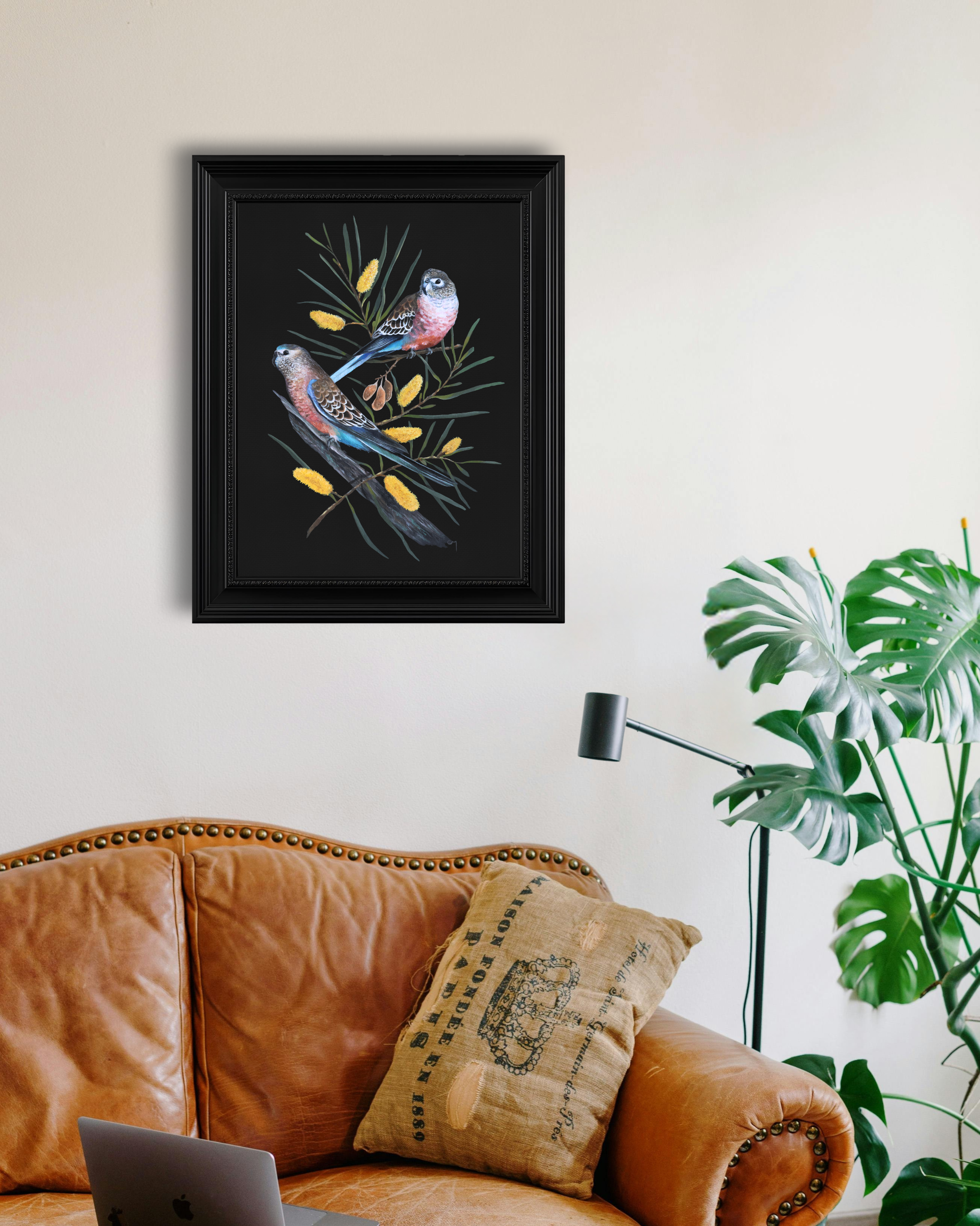 Framed painting of a pair of colourful, arid Australian birds, Bourke’s parrots (Neopsephotus bourkii), perched on a yellow flowering Wattle/Mulga tree (Acacian aneura).