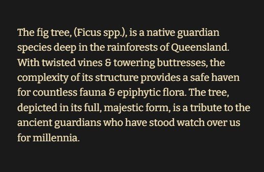 Description.jpg