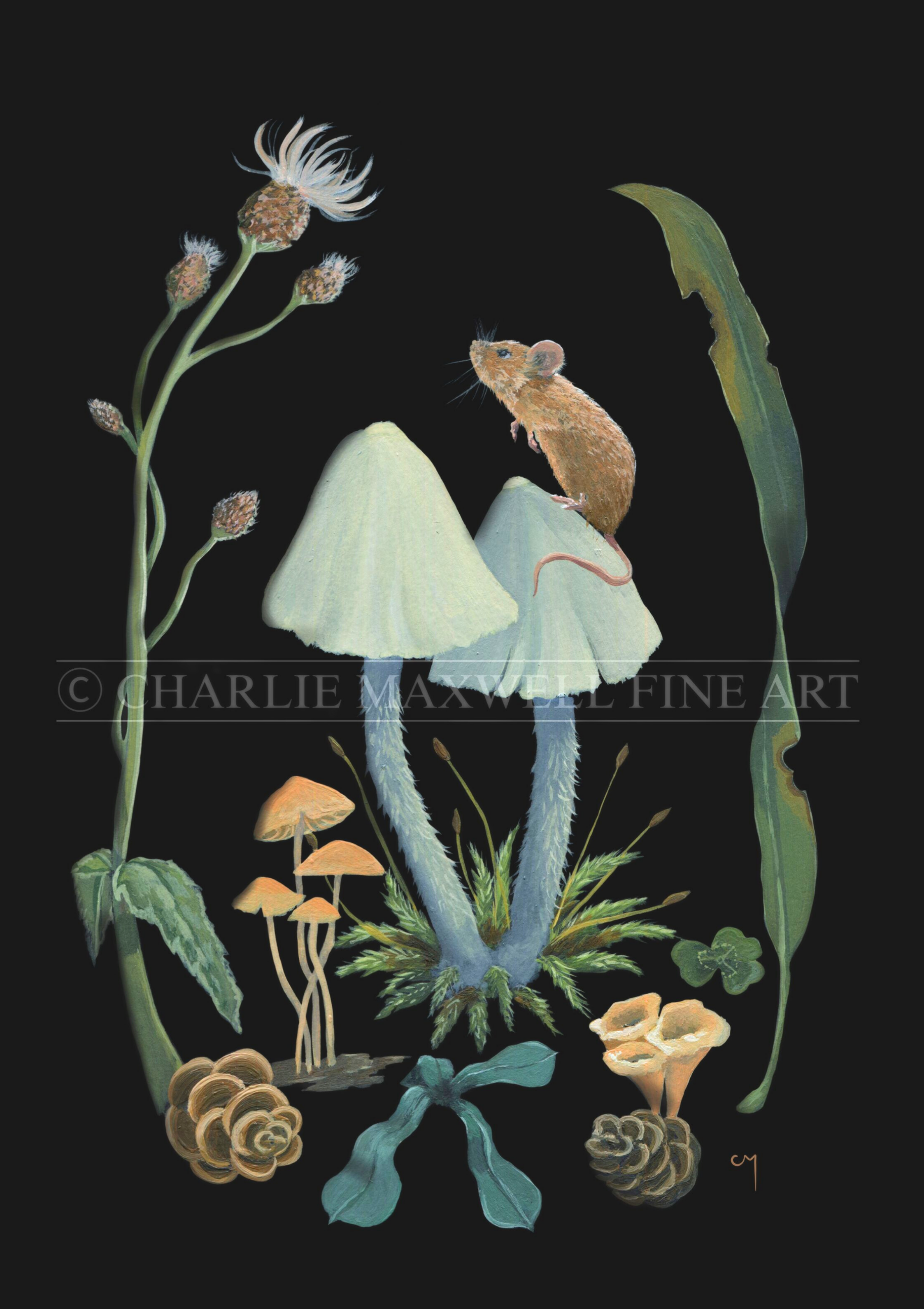 Fine art print of brown mouse sitting on inkcap mushrooms & flower, on black background, by Charlie Maxwell, Australian wildlife artist.