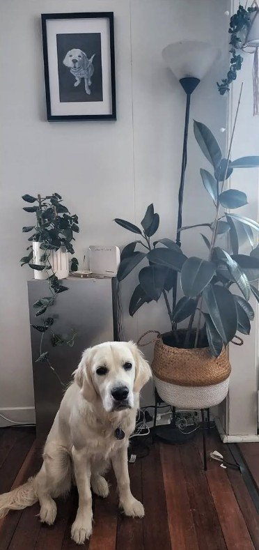 Wellie with Wellie