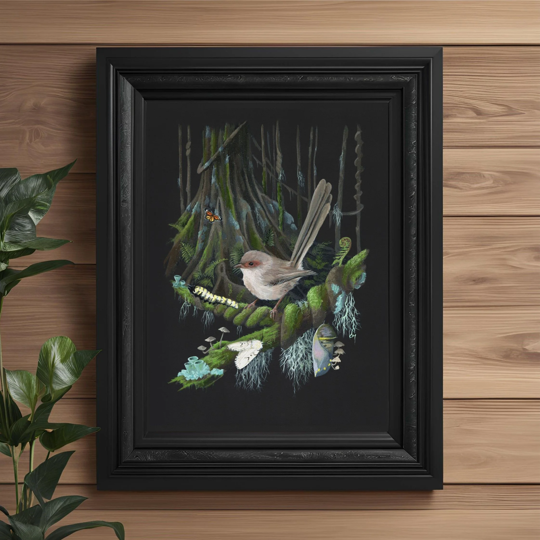 Framed fine art print native superb fairywren on mossy branch in forest with moth, butterfly & fig tree, on black background, by Charlie Maxwell, Australian wildlife artist.