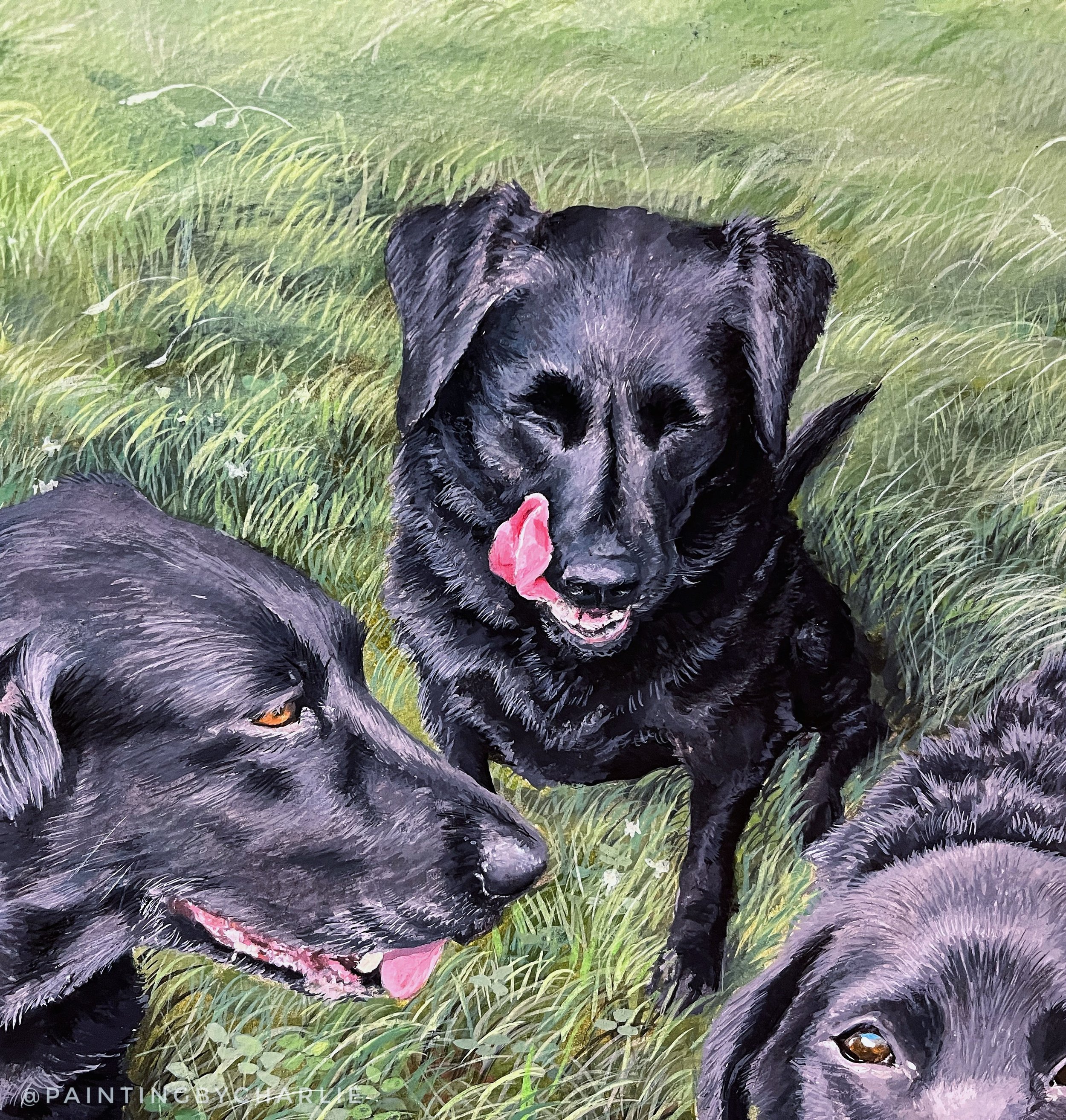 Close up - Pippin