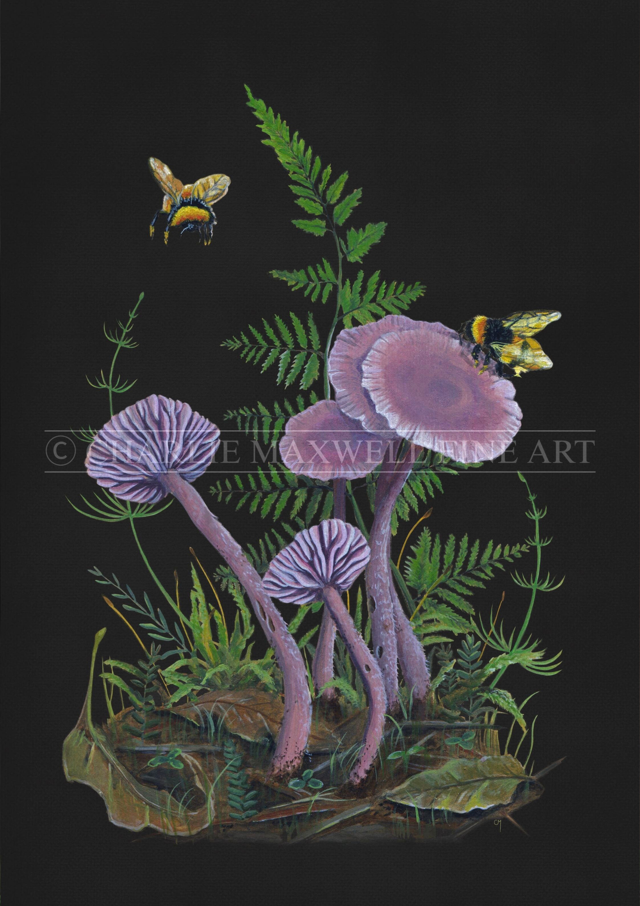 A fine art print of purple mushrooms (amethyst deceivers) with green ferns & bees on black background, by Charlie Maxwell, Australian wildlife artist
