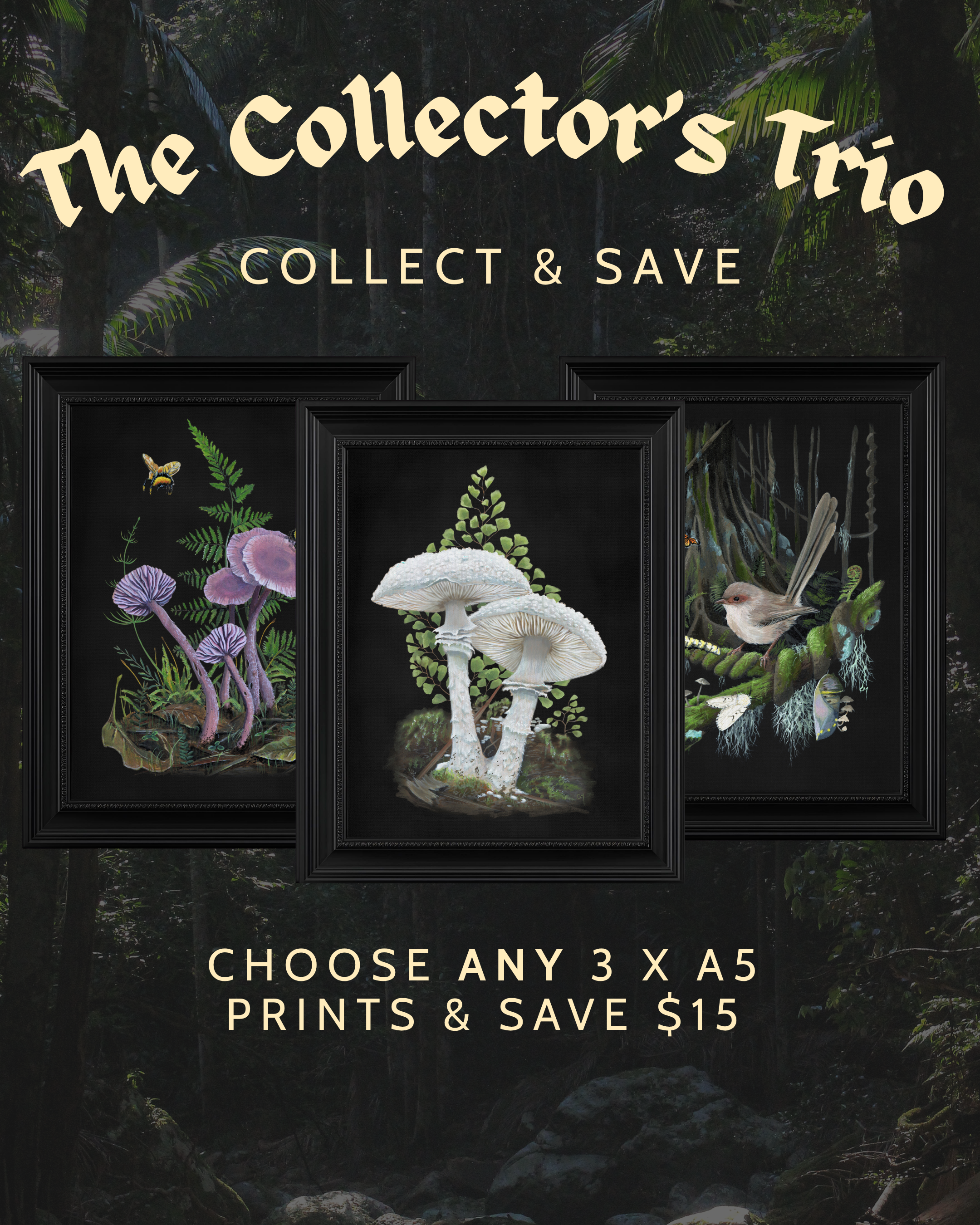 The Collector's Trio (mobile - framed w background).png