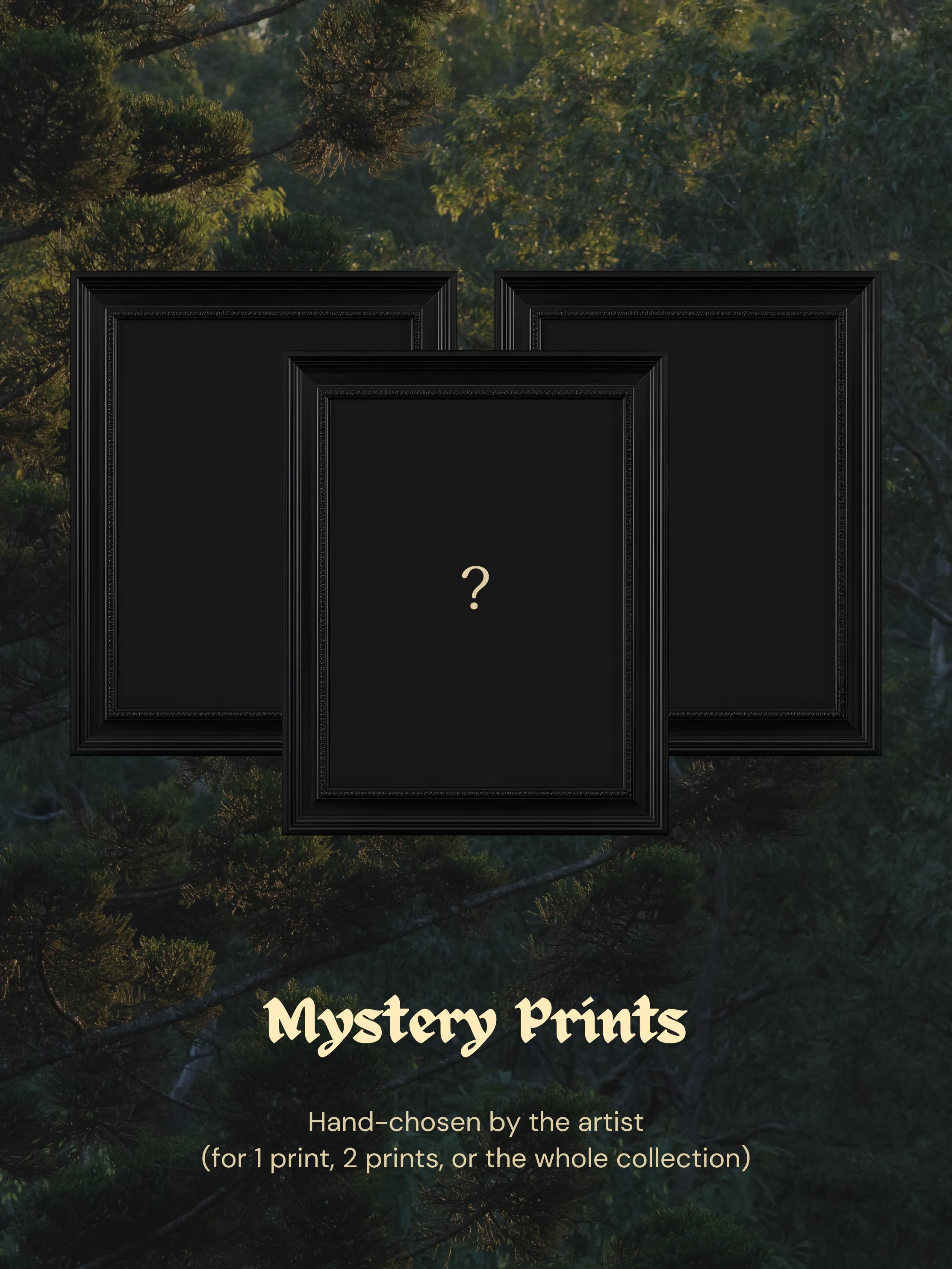 Mystery Prints - hand chosen by the artist, surprise bundle