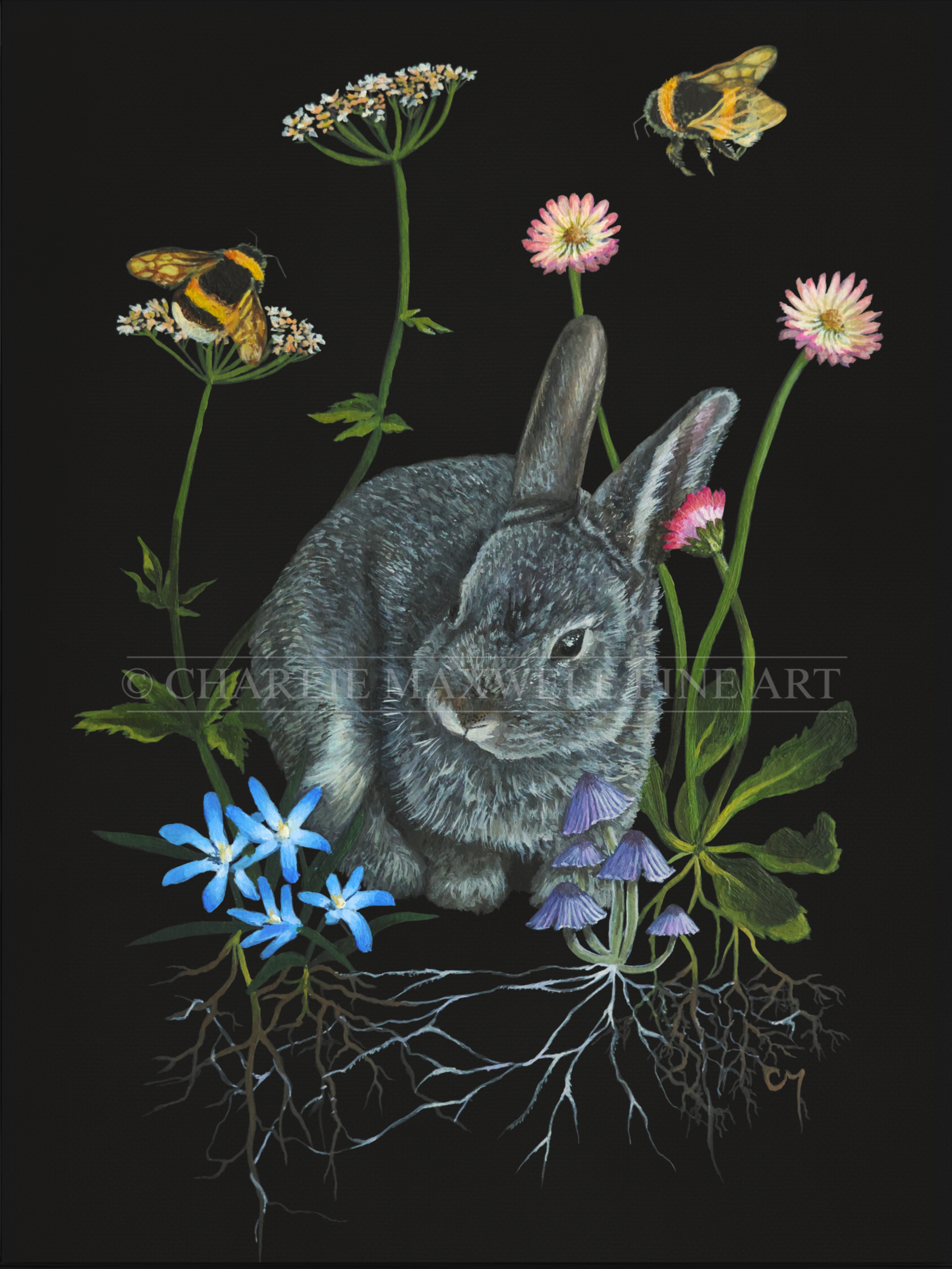 Wildlife art print of a European bunny, Bumblebees, English daisies, blue flowers, ground elder & purple fairy bonnet mushrooms, on black background, by Charlie Maxwell, Paitingbycharlie