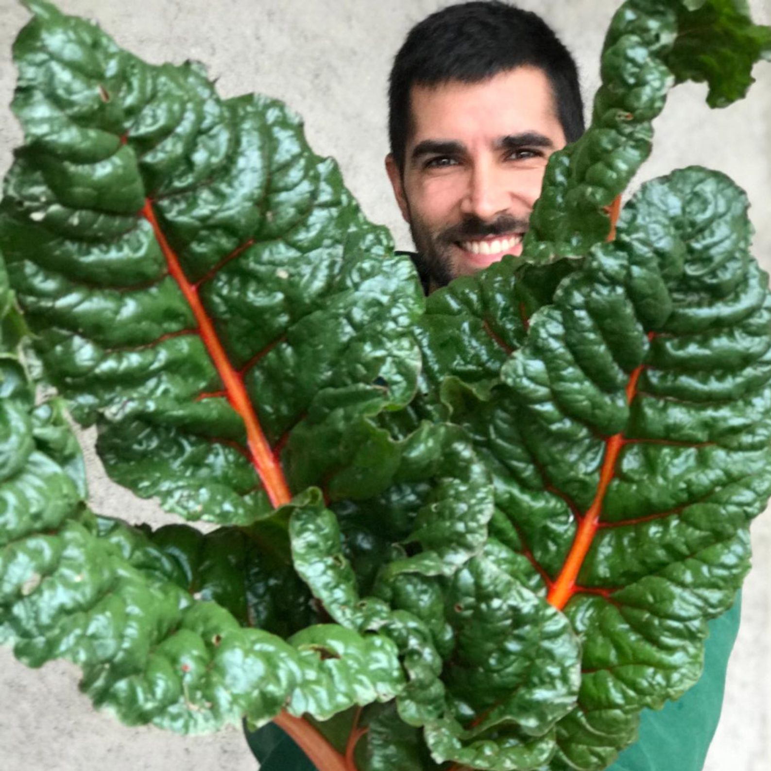 Armando Cruz