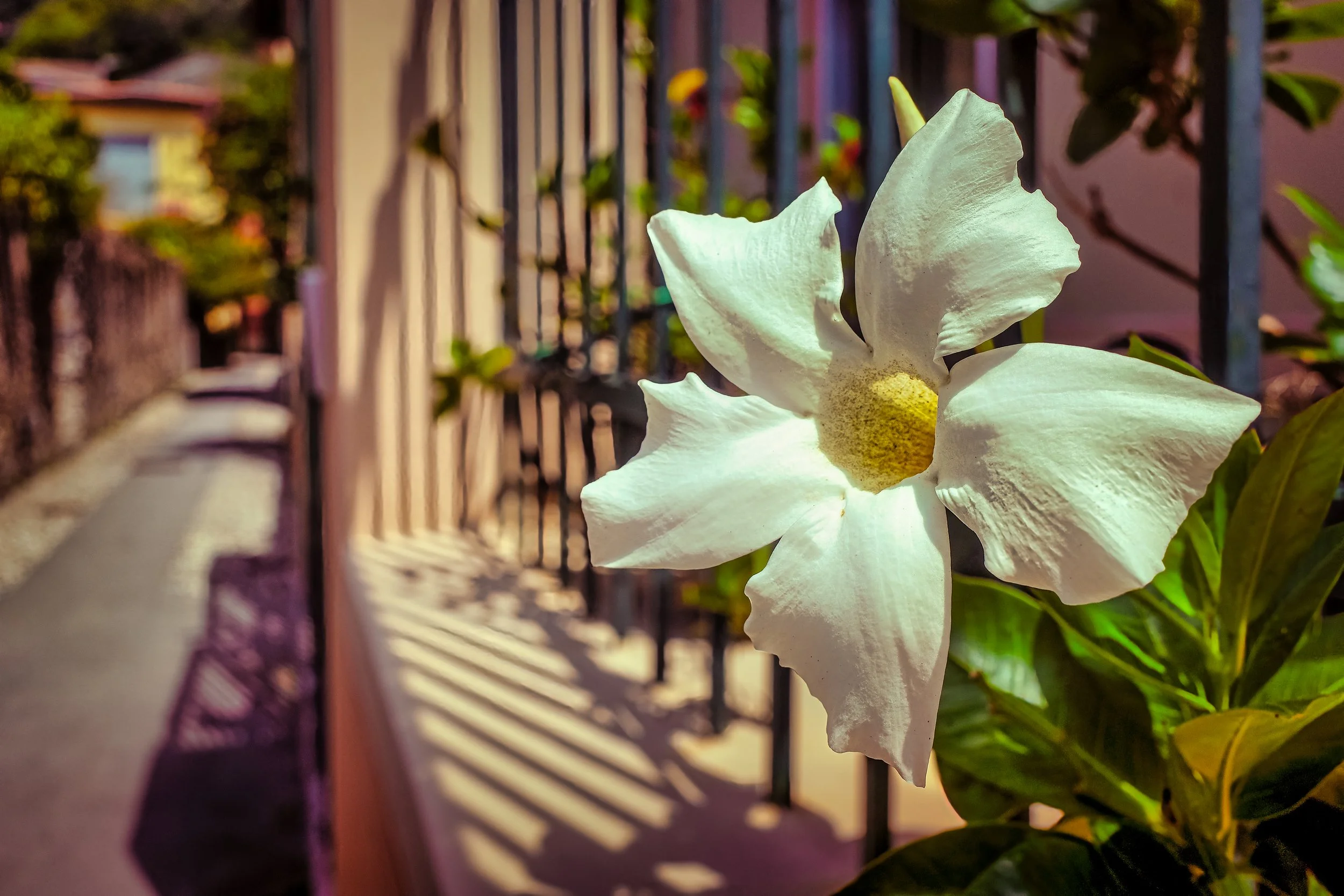 Bonassola, Liguria: What to see and do in one of the most beautiful villages in Eastern Liguria
